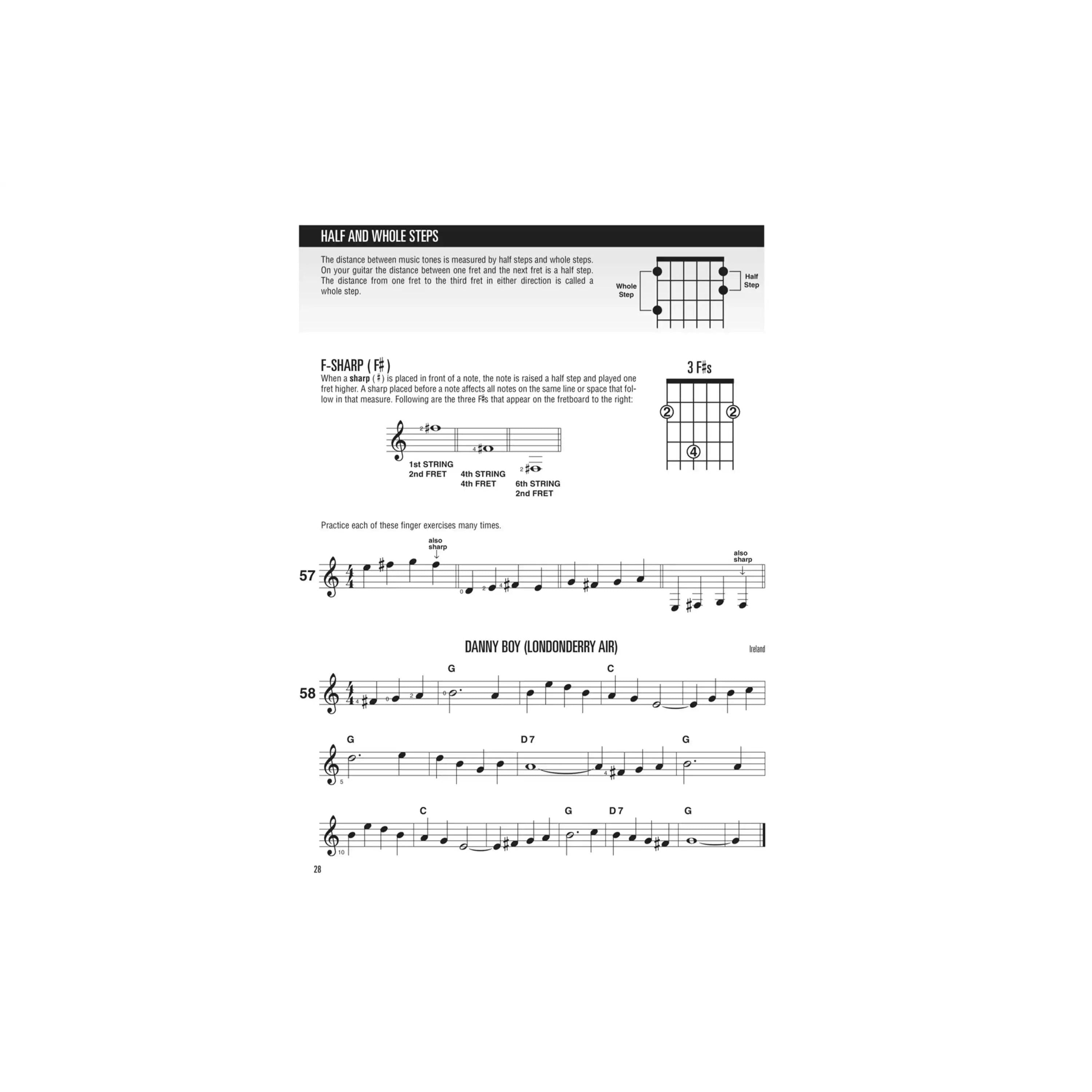 HL00699040-6 | Terry Carter Music Store