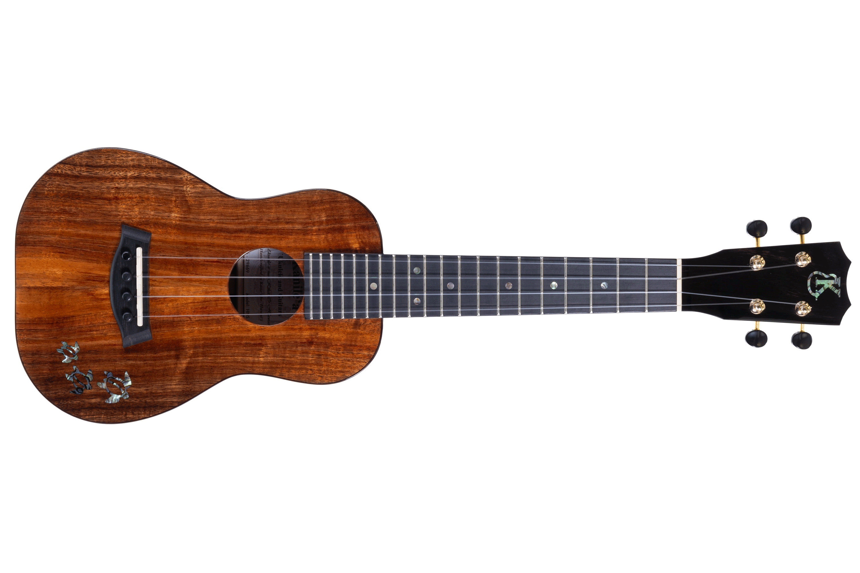 HNS-C-296691 | Terry Carter Music Store