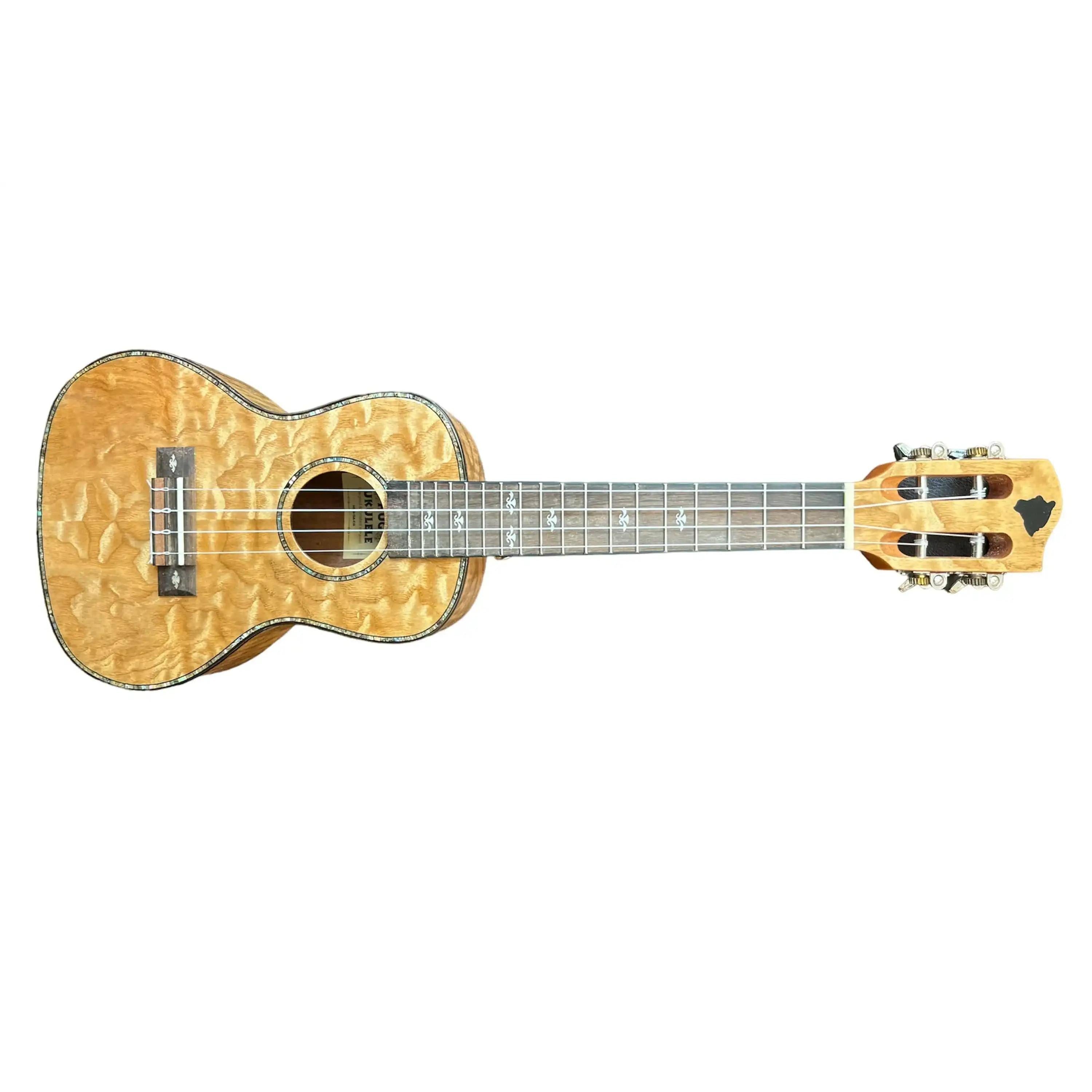 HUG-QA-CG-3 | Terry Carter Music Store