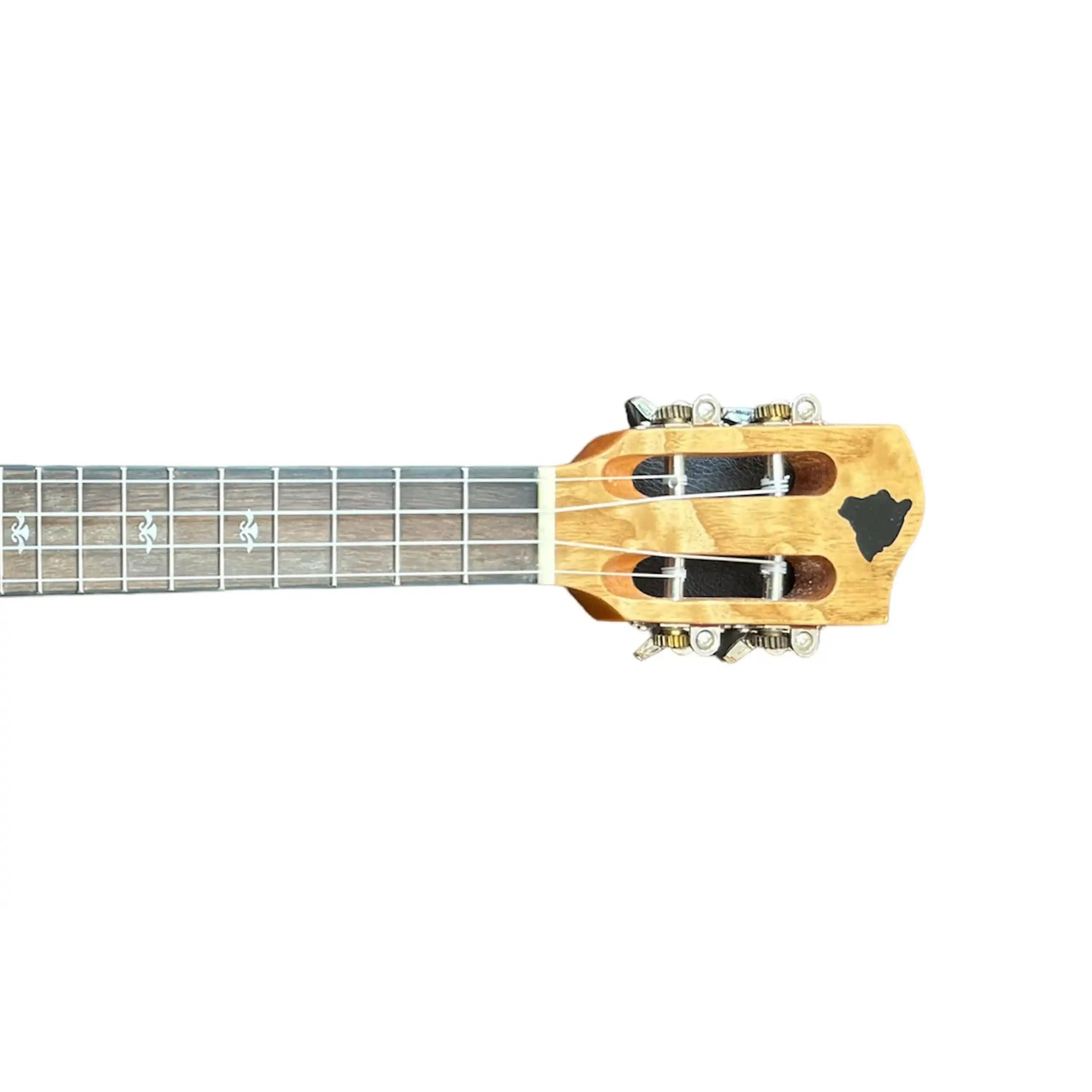 HUG-QA-CG-5 | Terry Carter Music Store