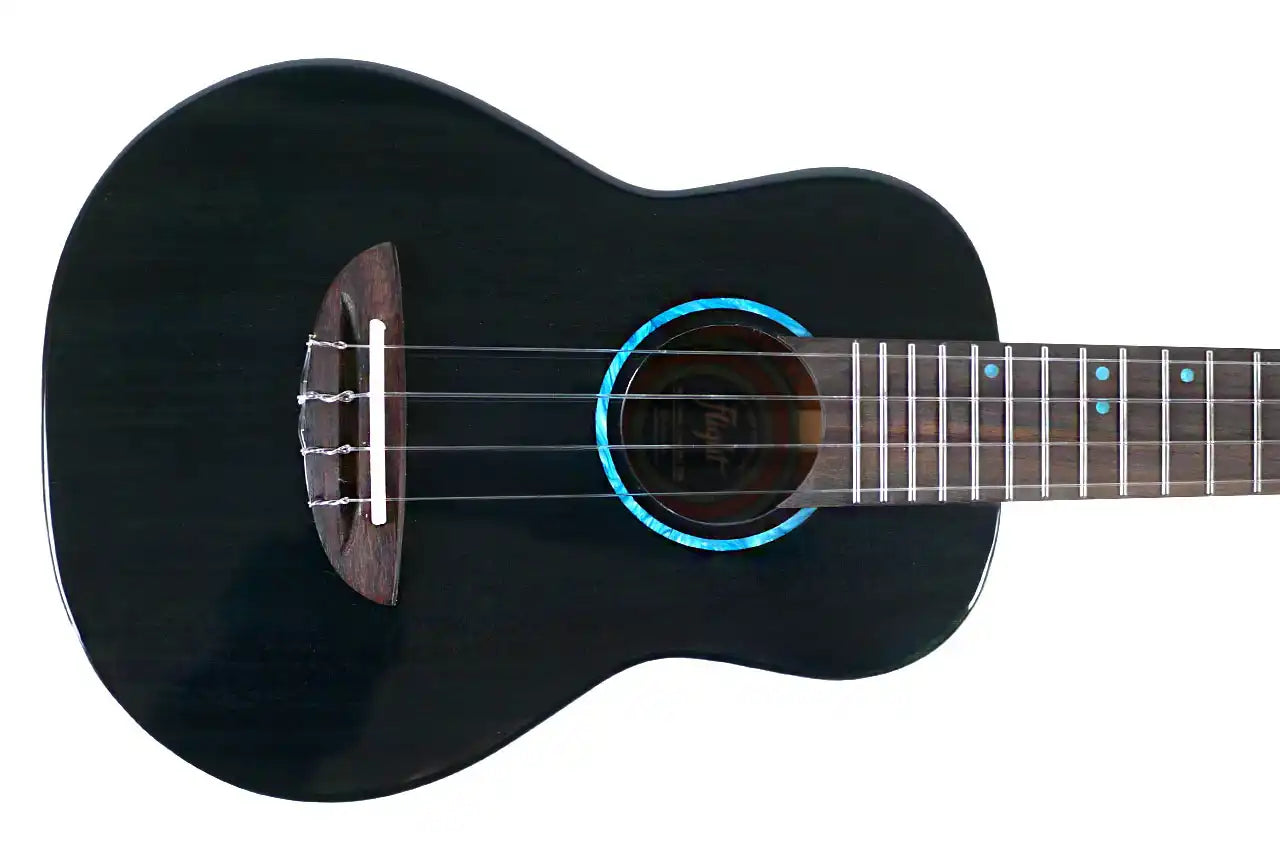IRIS_TINTA_CONCERT_TDB_1 | Terry Carter Music Store