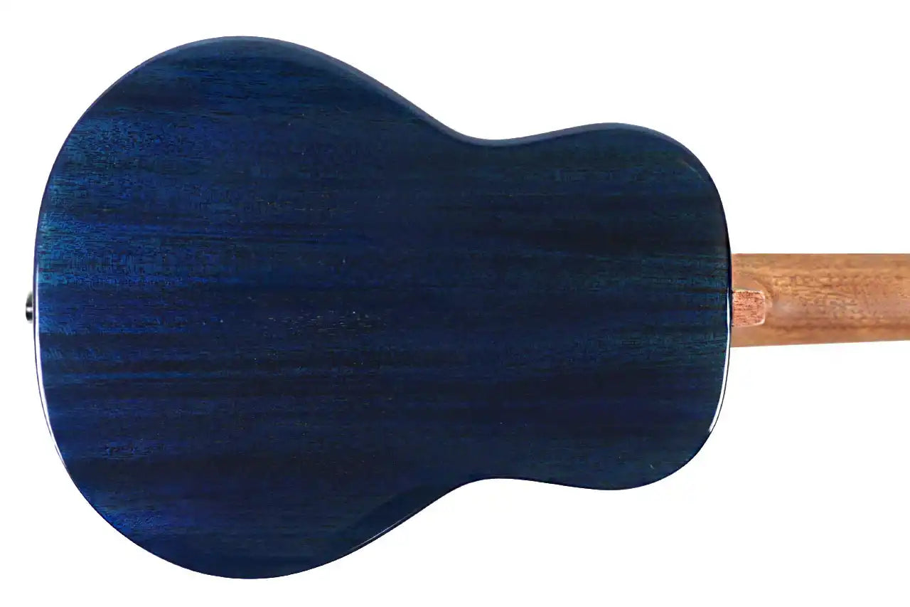 IRIS_TINTA_CONCERT_TDB_3 | Terry Carter Music Store
