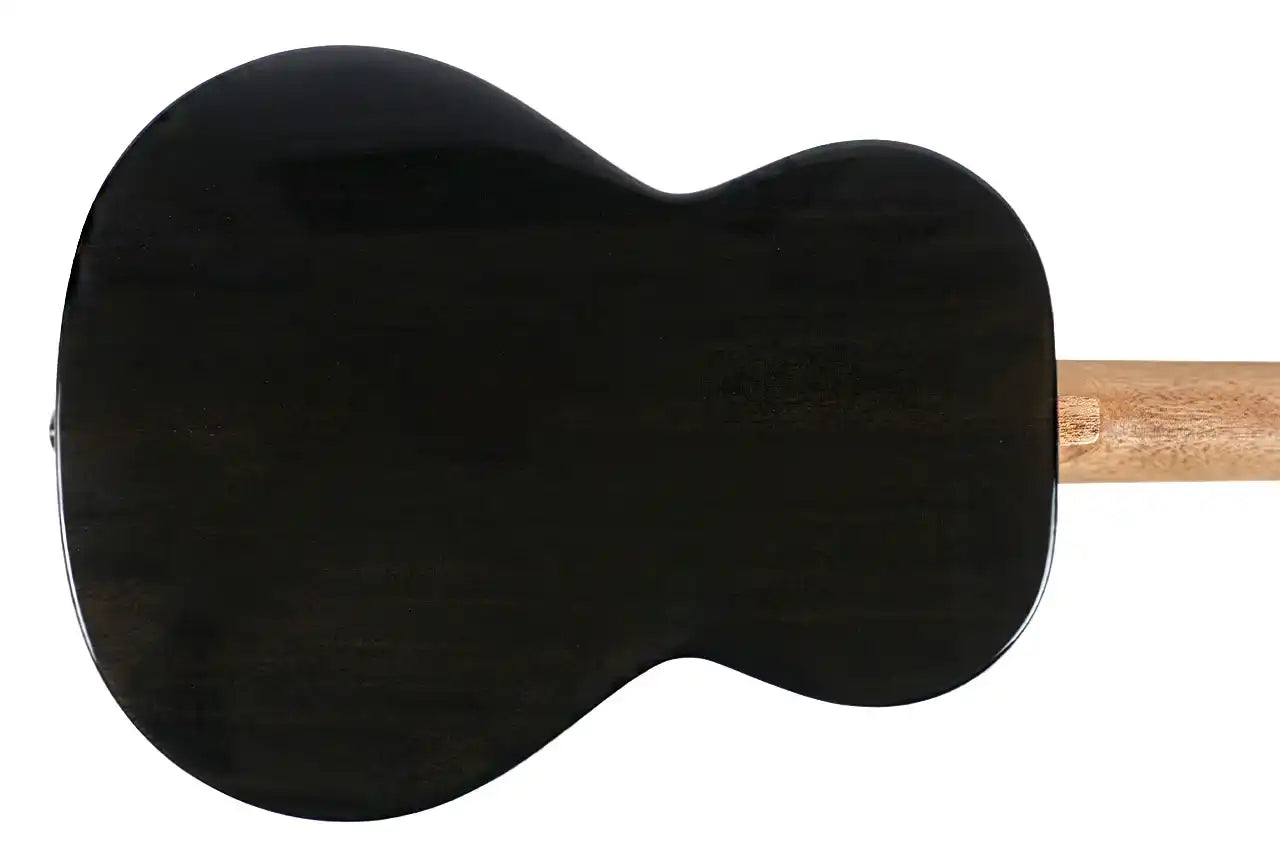 IRIS_TINTA_TENOR_TBK_2 | Terry Carter Music Store