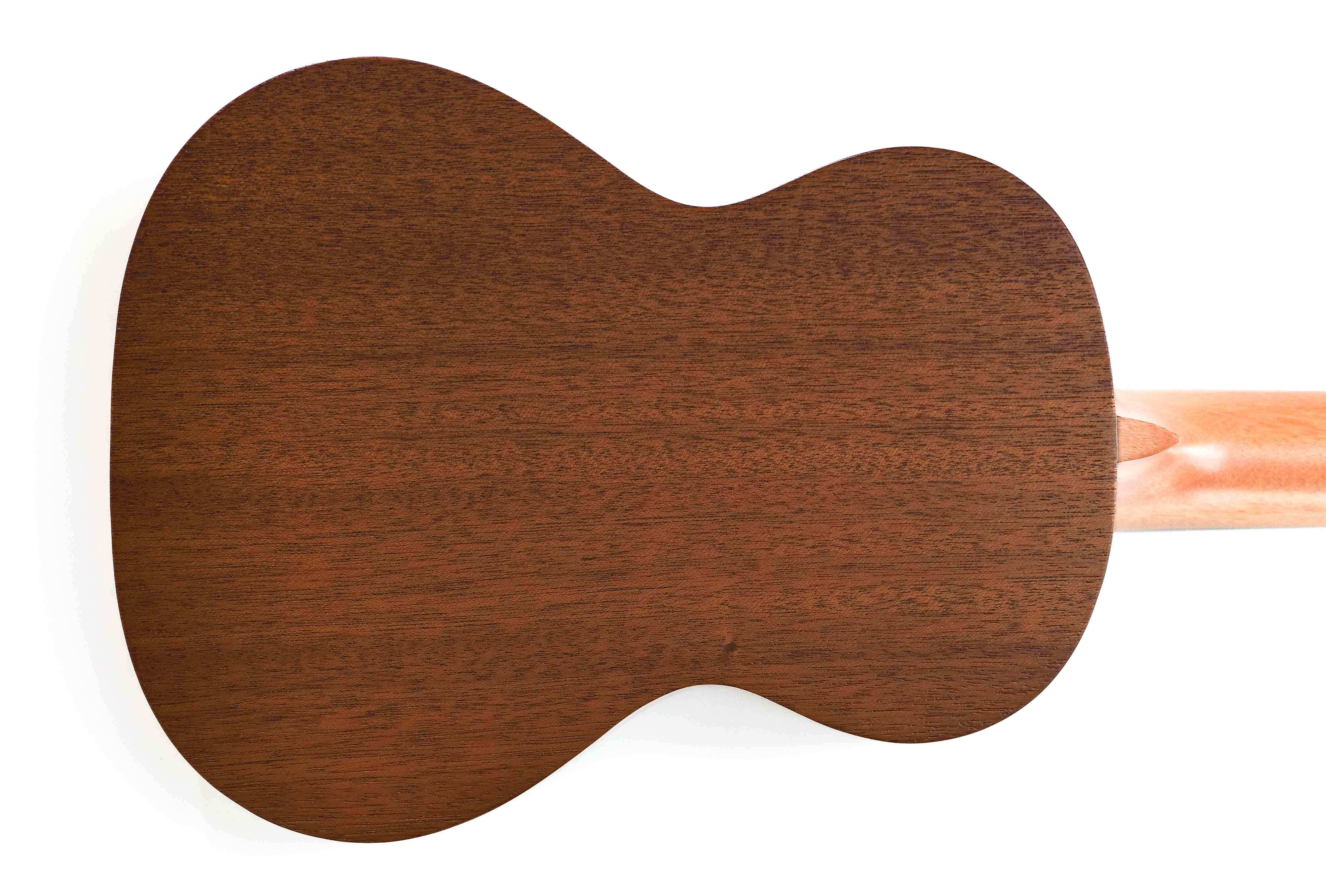 ISLANDERMT-4-HNSBACK_9823ddb5-5d53-4194-9b59-ba07f6e01242 | Terry Carter Music Store