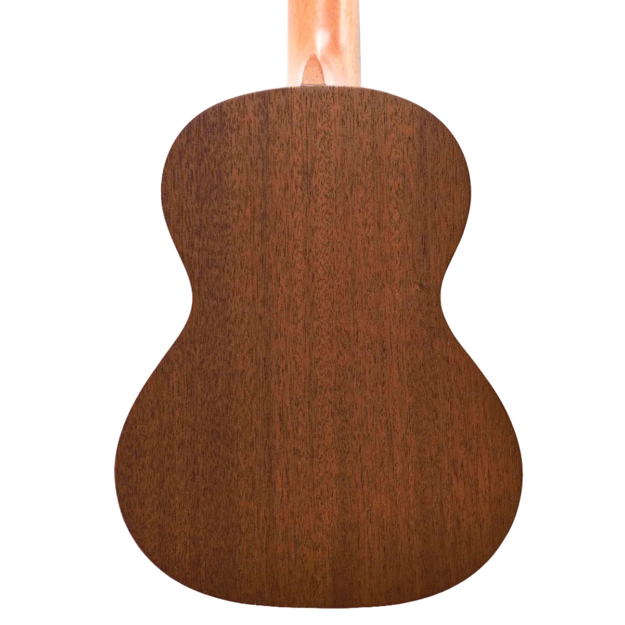 ISLANDERMT-4-HNSBACK_9823ddb5-5d53-4194-9b59-ba07f6e01242 | Terry Carter Music Store