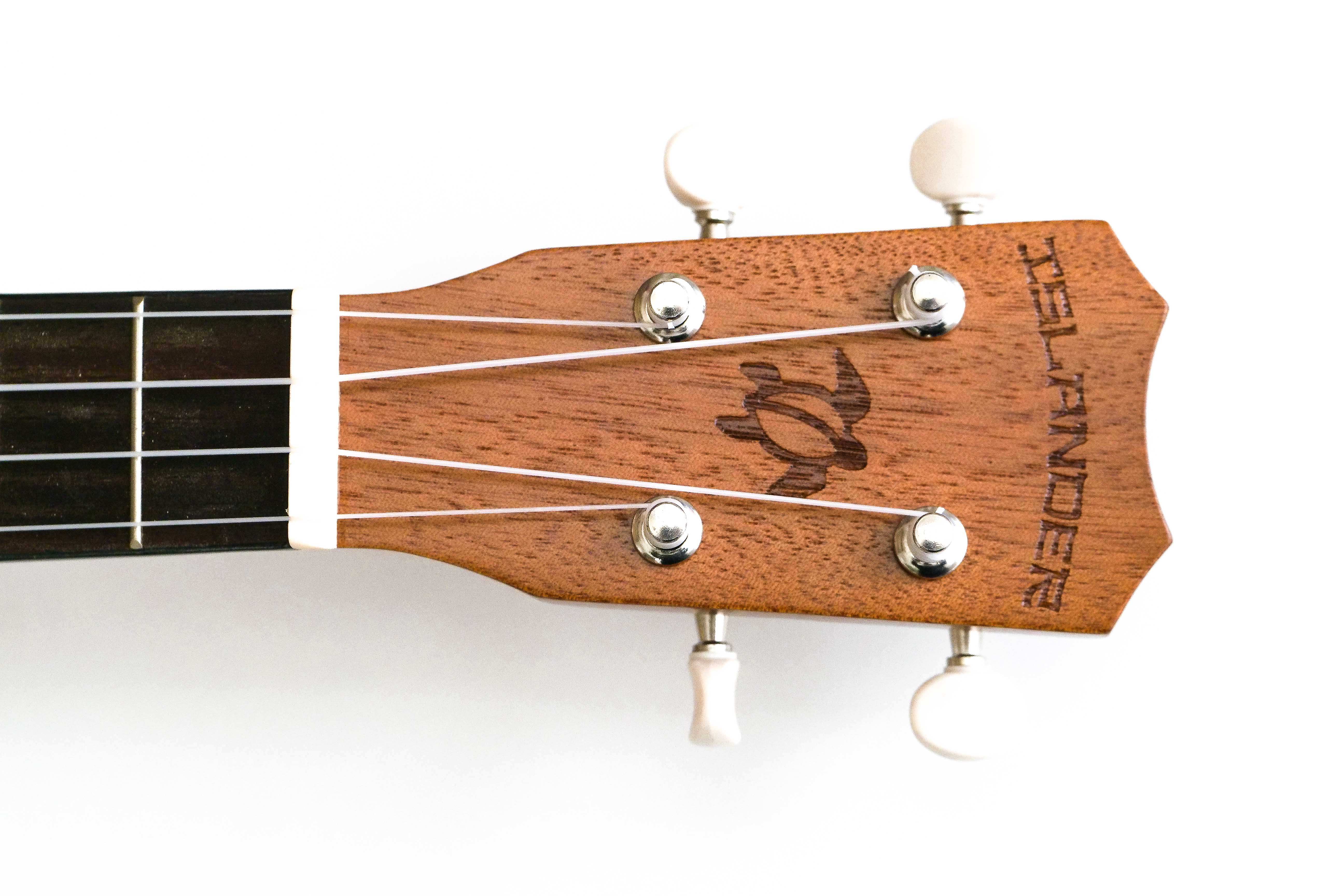 ISLANDERMT-4-HNSHEADSTOCK_ad138745-6980-4008-9861-fbca0f79e0d7 | Terry Carter Music Store