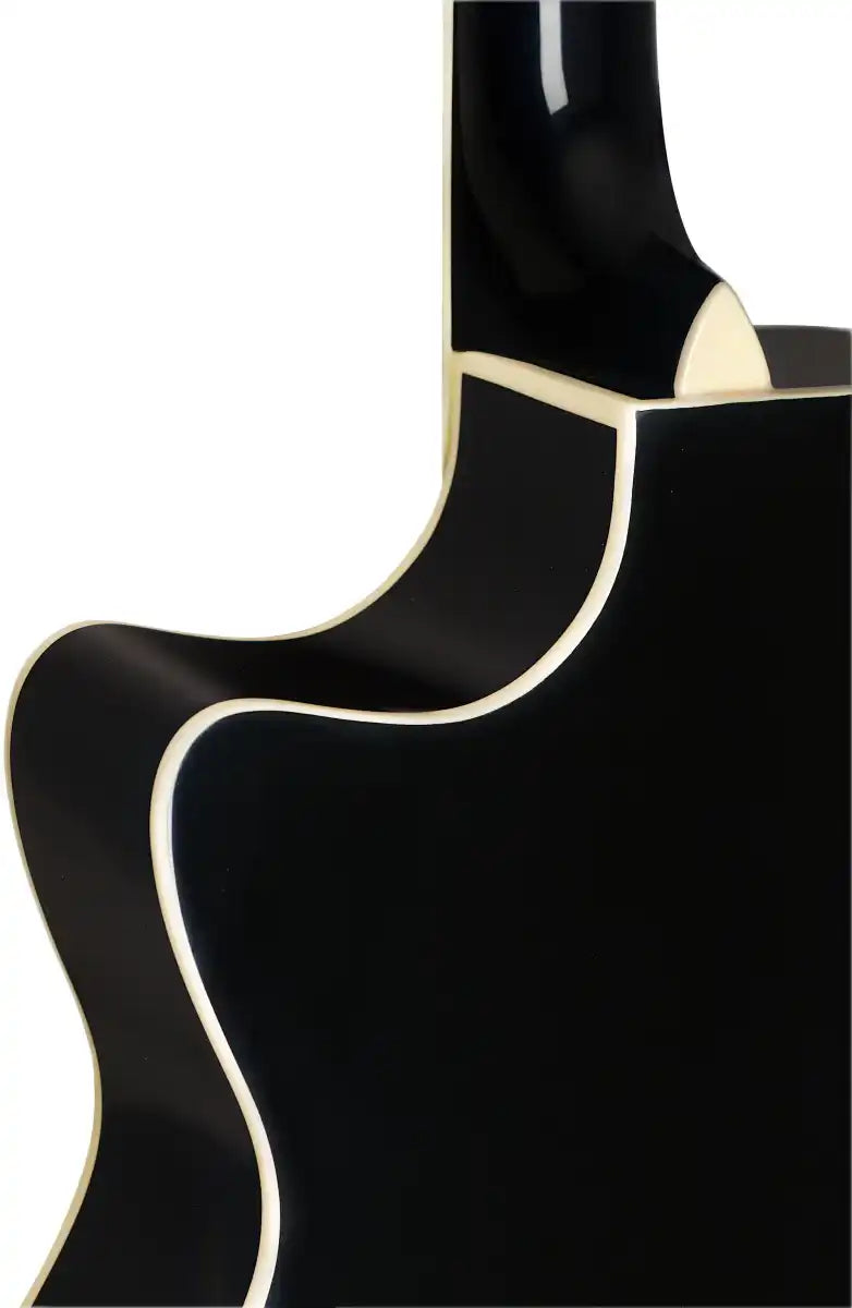 JAME-BES-ACEBK-22682_4_17424 | Terry Carter Music Store