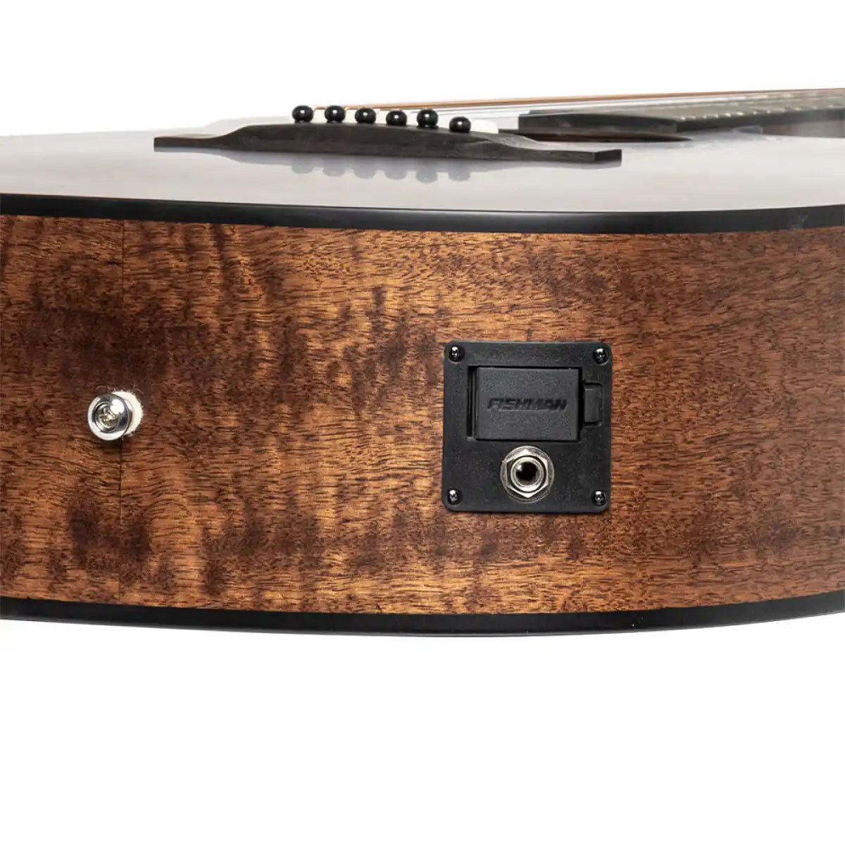 JAME-DOV-ACFI-25667_3_30226 | Terry Carter Music Store