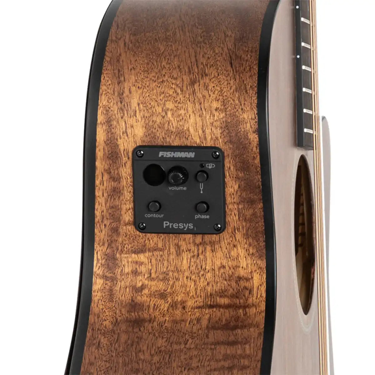 JAME-DOV-ACFI-25667_7_30589 | Terry Carter Music Store