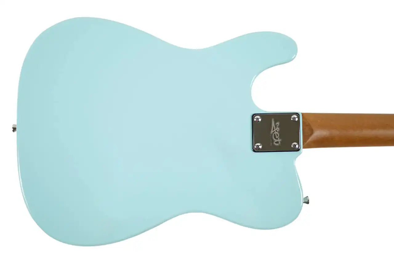 JT_300_BL_R_2 | Terry Carter Music Store