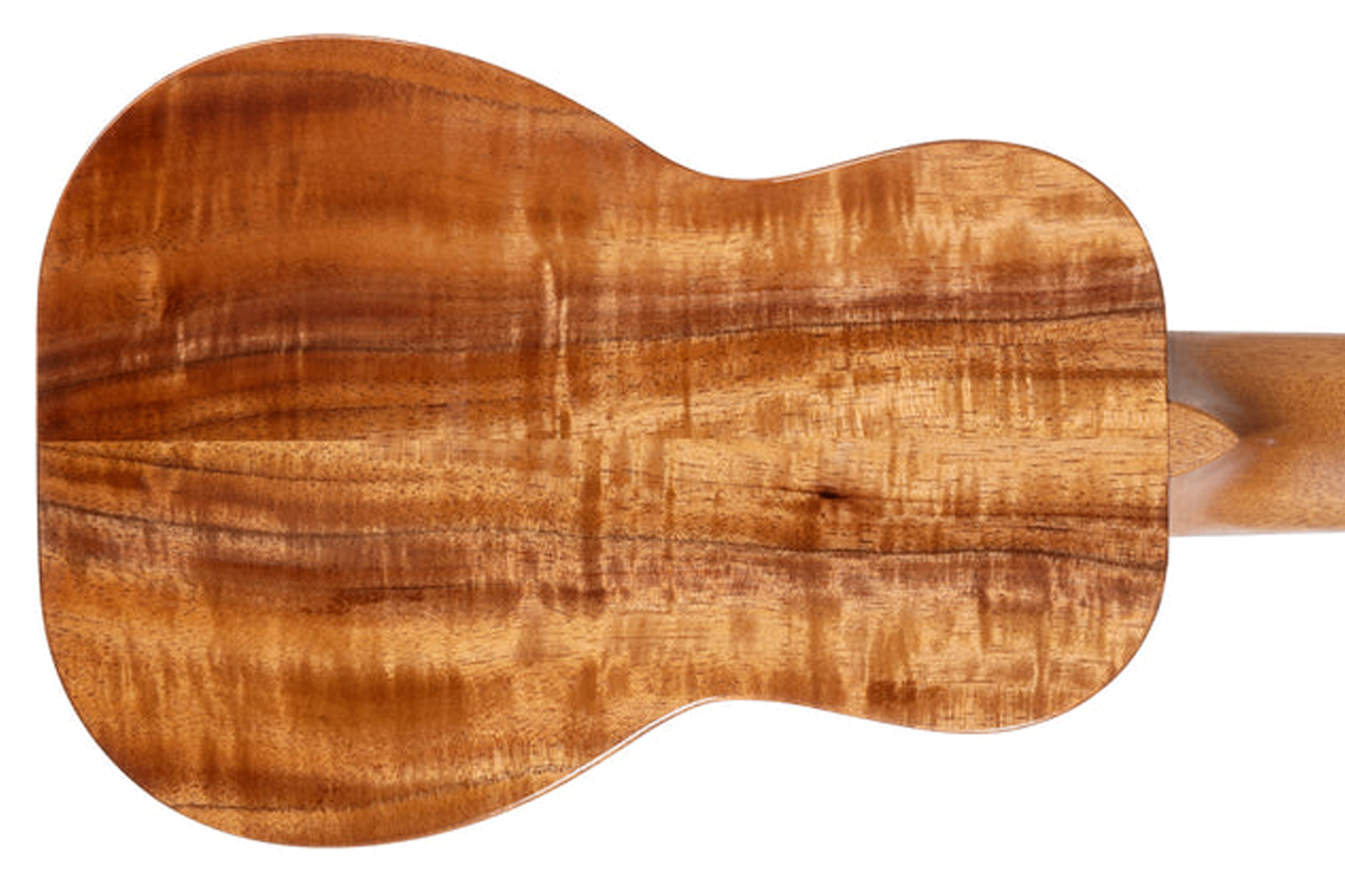 K-1-SS-297234 | Terry Carter Music Store