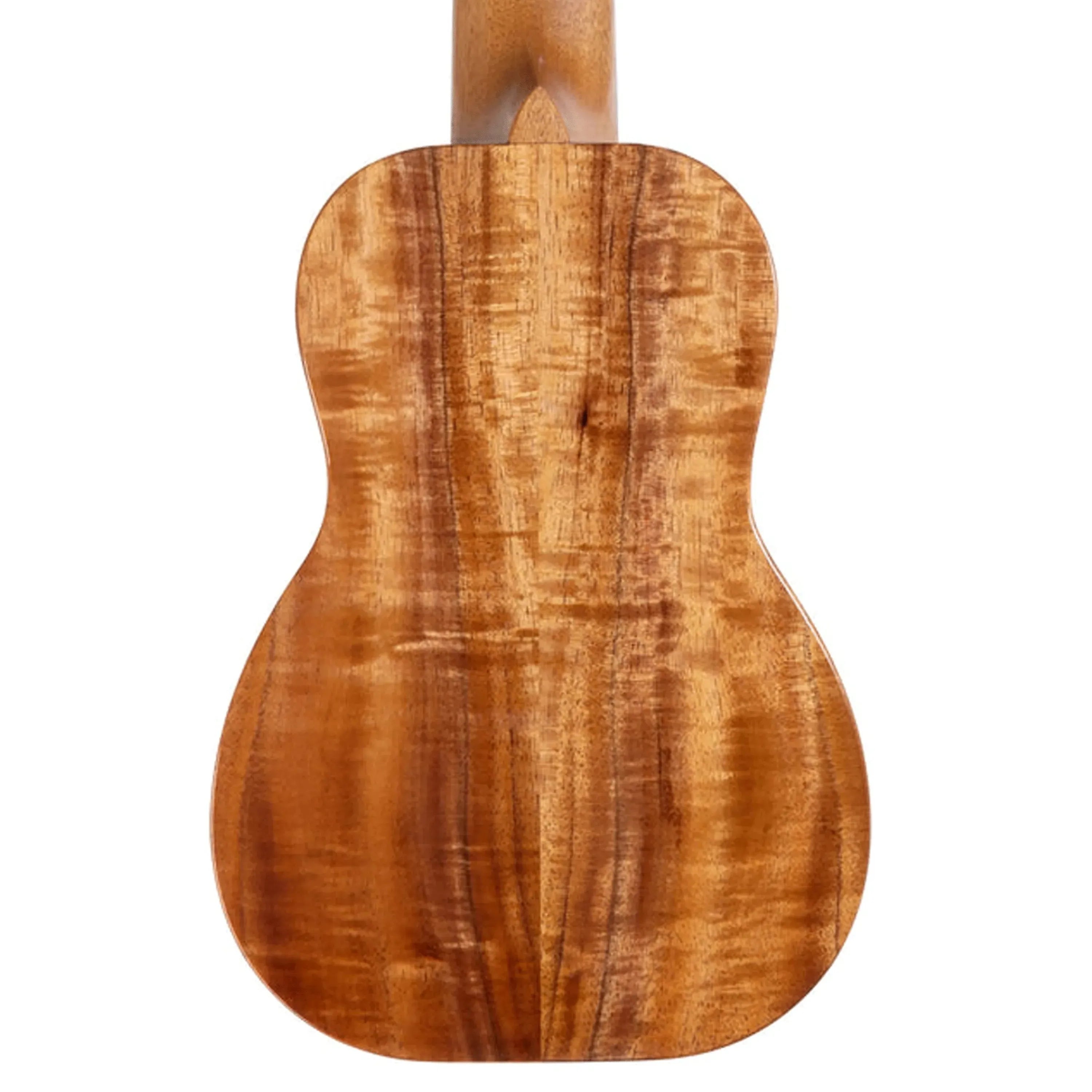K-1-SS-297234 | Terry Carter Music Store