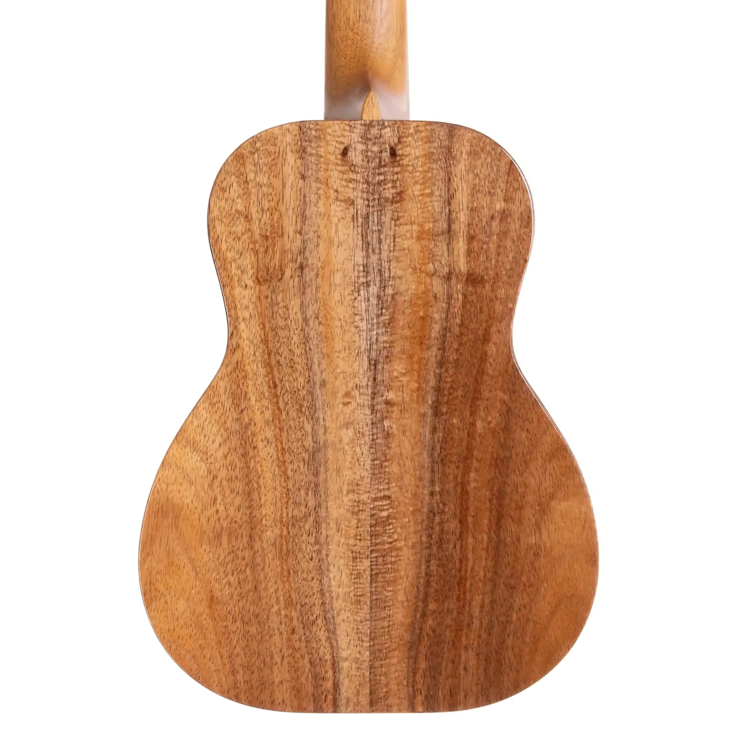 K-1-T6-294112 | Terry Carter Music Store