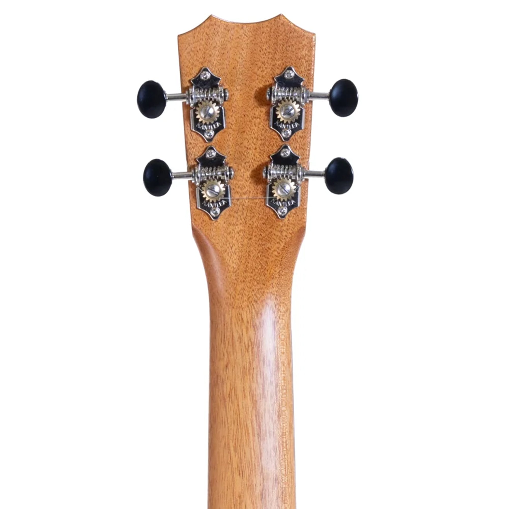 Close-up of a guitar neck with tuning pegs on a white background