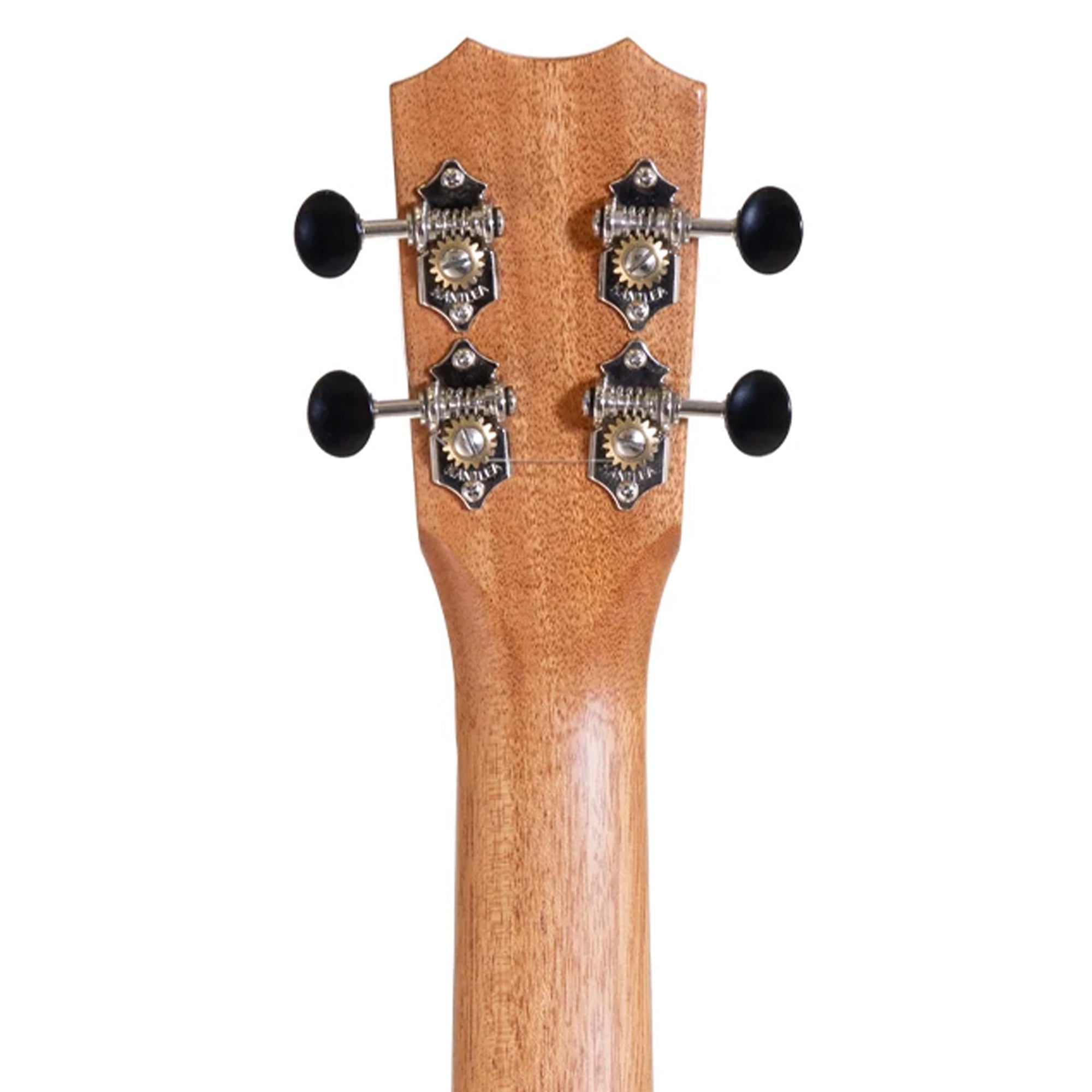 back of headstock