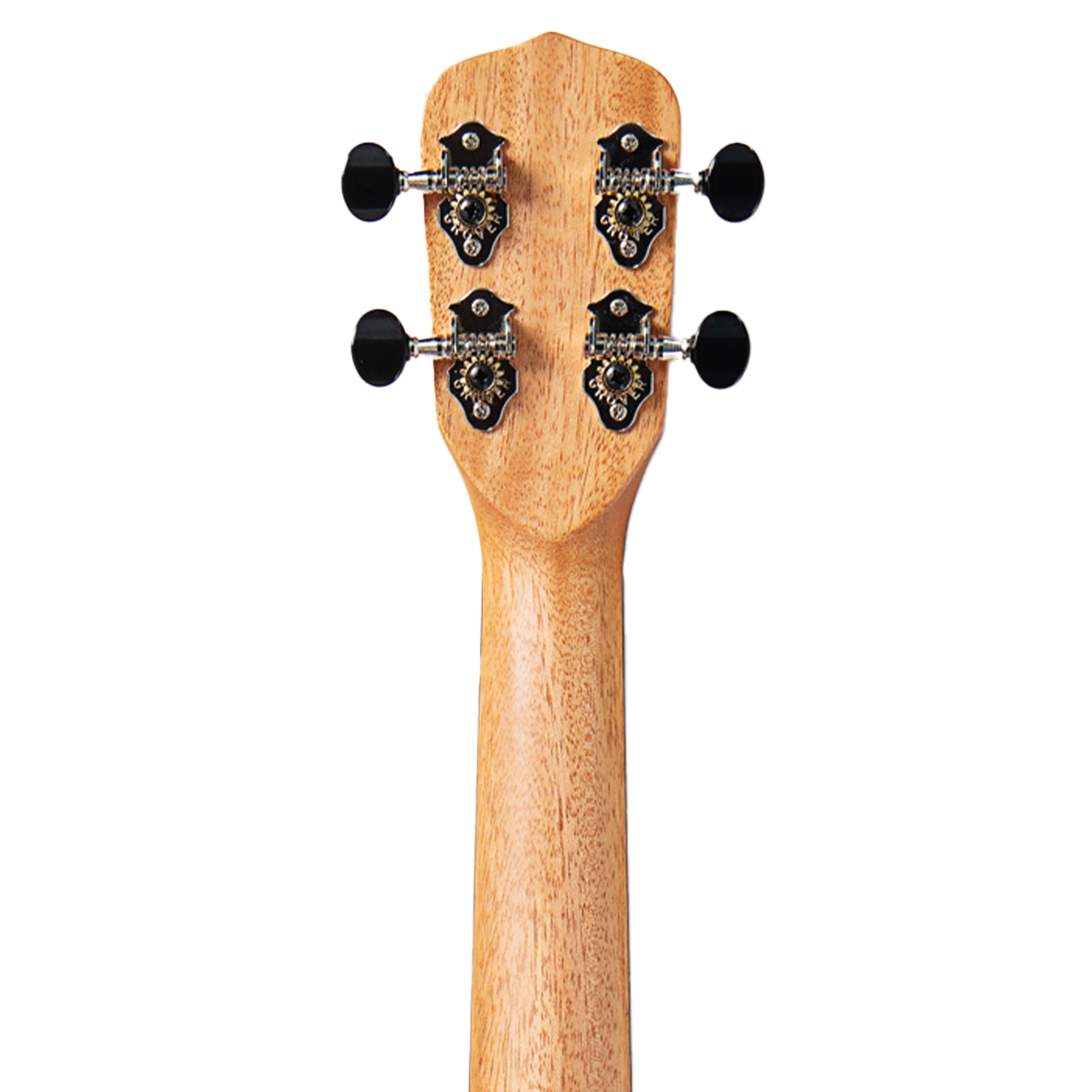 back of the headstock