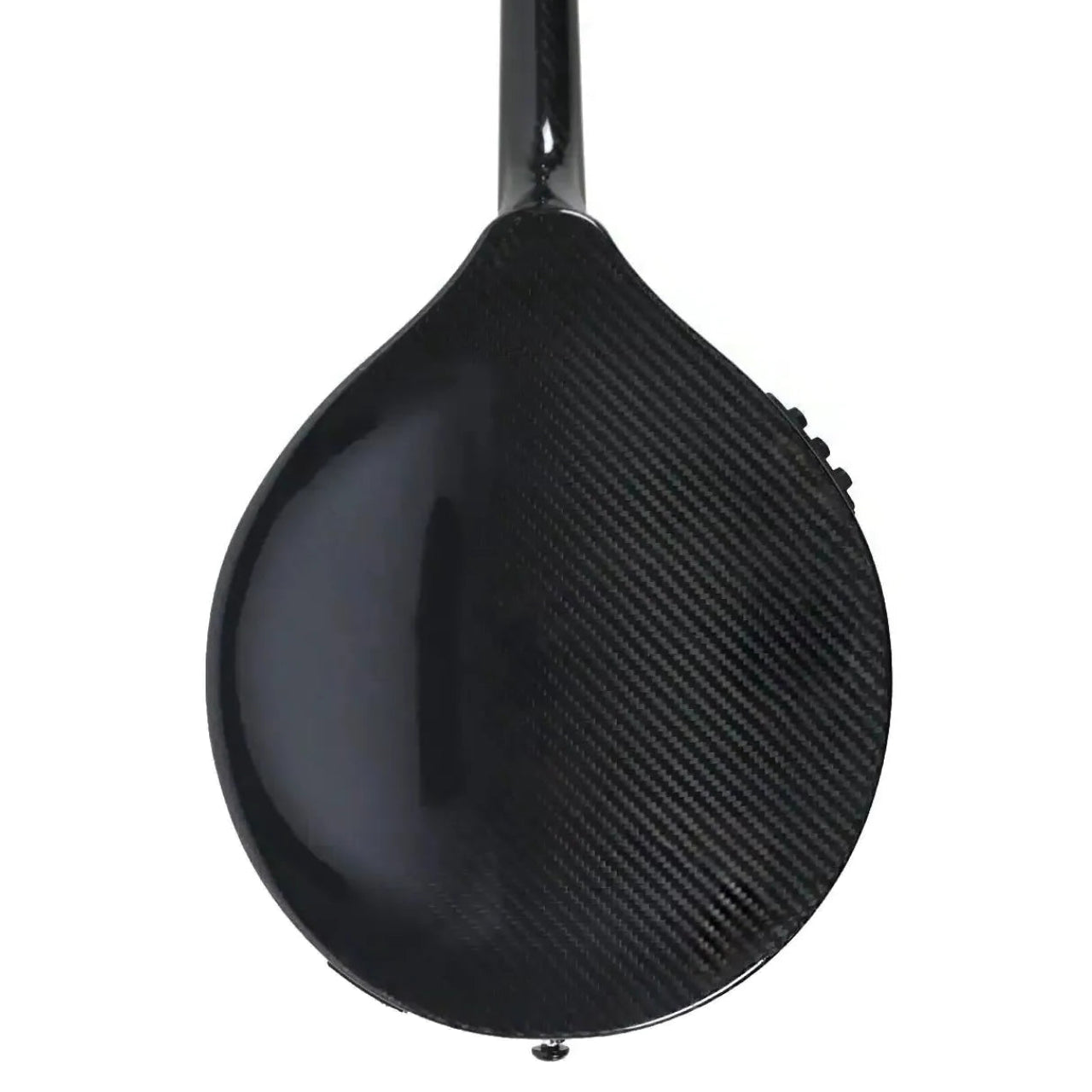 KLOS_CARBON_FIBER_MANDOLIN_3 | Terry Carter Music Store