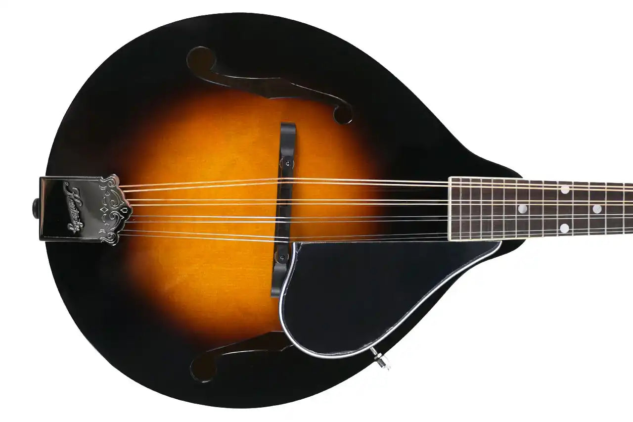 KM_140_1 | Terry Carter Music Store