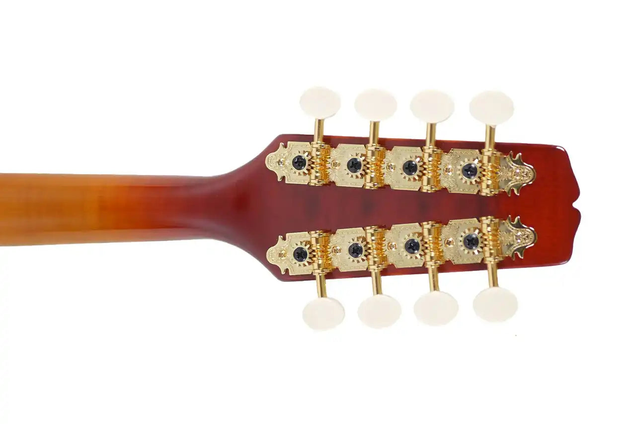 KM_505_4 | Terry Carter Music Store