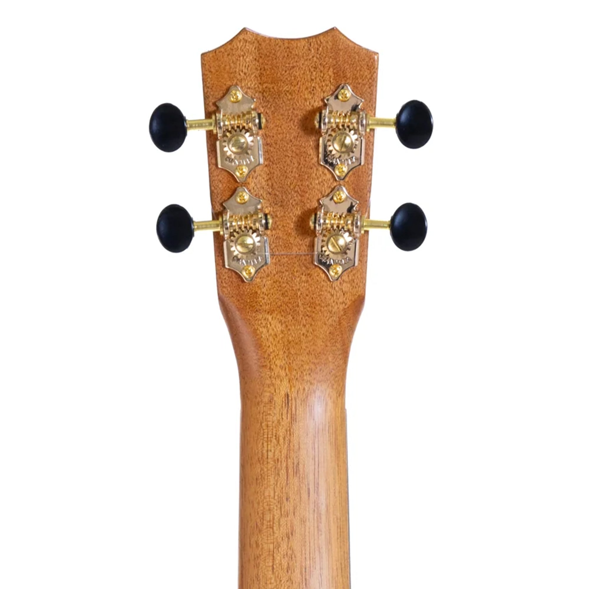 Close-up of a guitar headstock with tuning pegs on a white background