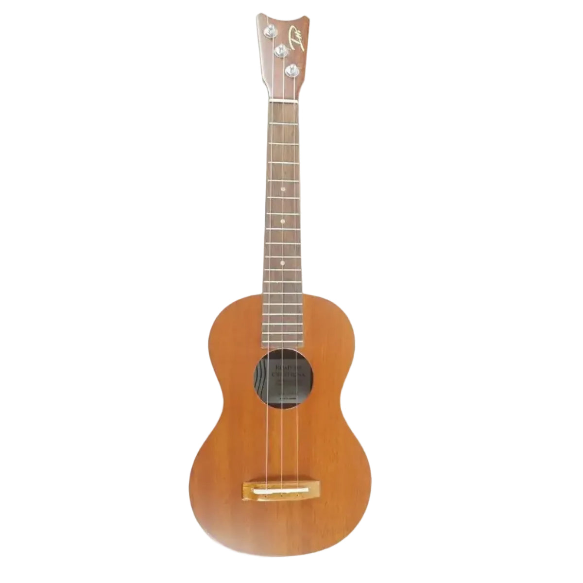 KRC-EVS-M-4 | Terry Carter Music Store