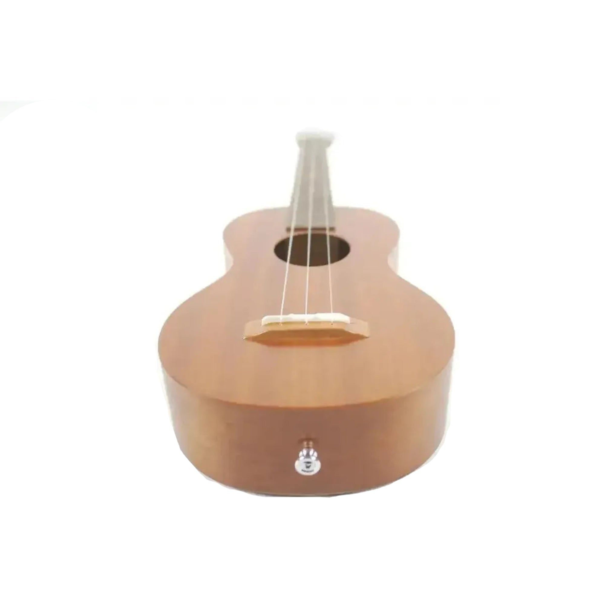 KRC-EVS-M-7 | Terry Carter Music Store