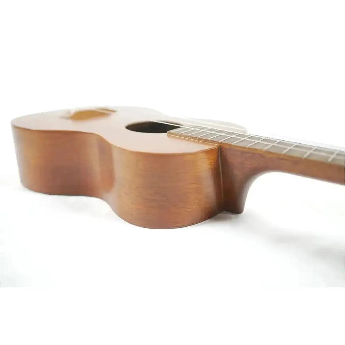 KRC-EVS-M-8 | Terry Carter Music Store
