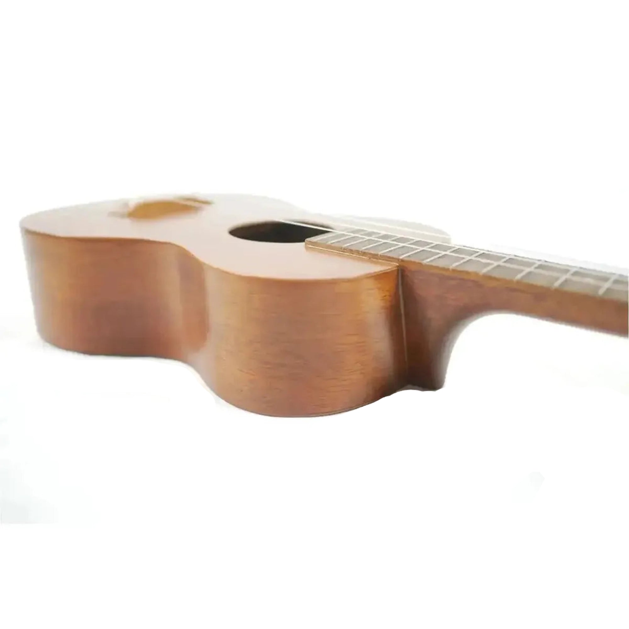 KRC-EVS-M-8 | Terry Carter Music Store