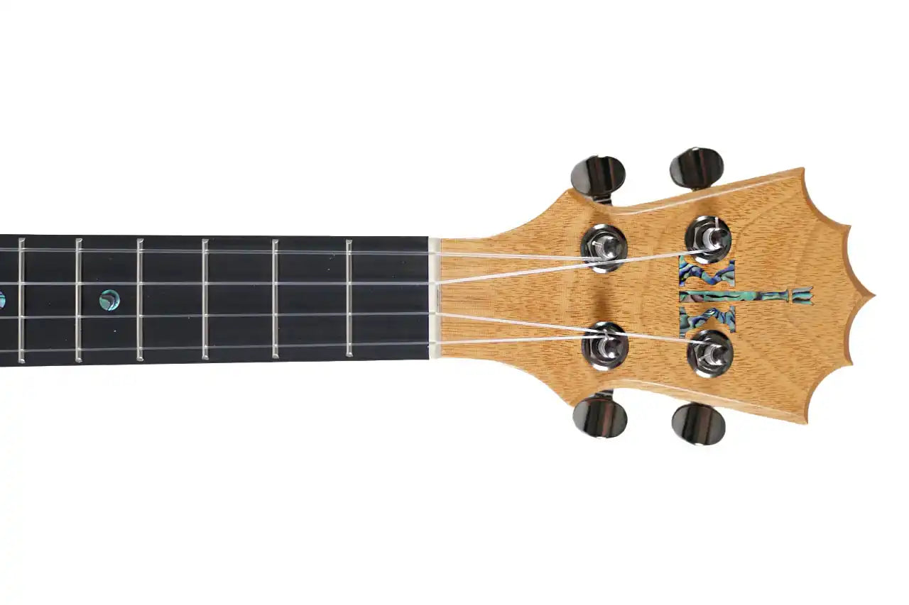 KTM_10MG_1_2 | Terry Carter Music Store