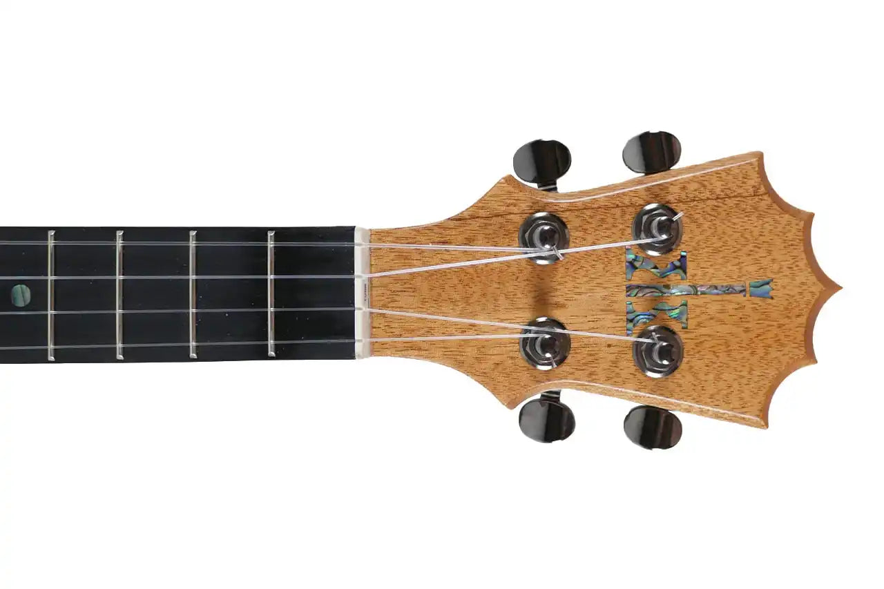 KTM_10_2_66f4f977-fceb-4e05-90f3-60467e48d09c | Terry Carter Music Store