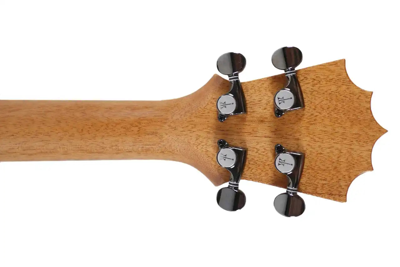 KTM_10_4_ae5c2285-05c2-487b-b307-7782ee784c20 | Terry Carter Music Store