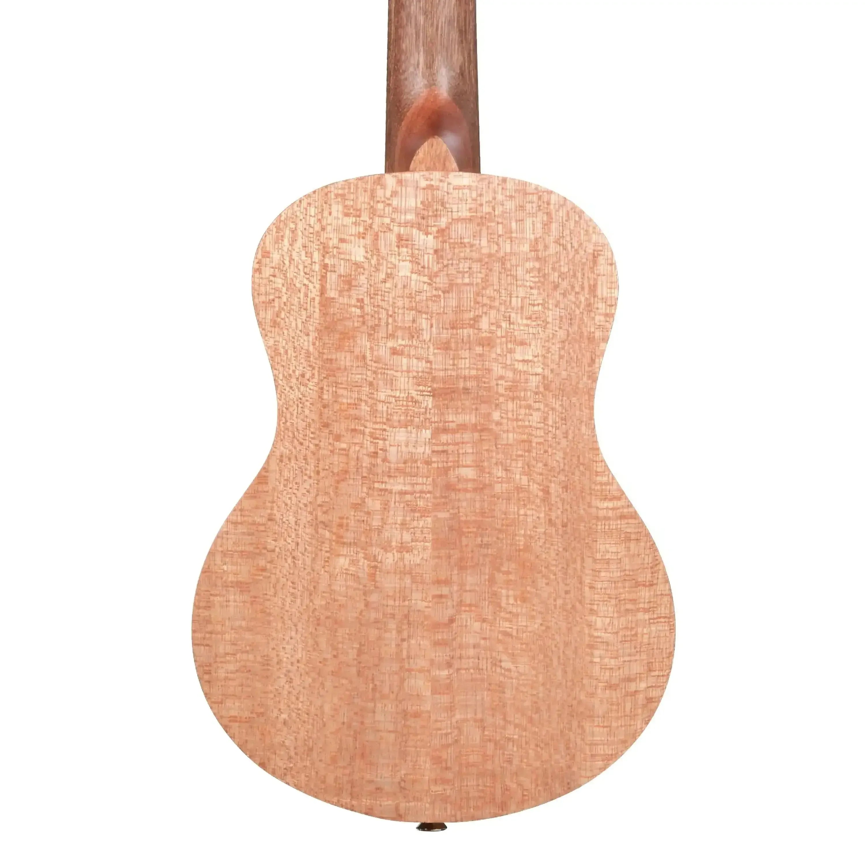 Kala-KA-20T-Tenor-Ukulele2 | Terry Carter Music Store