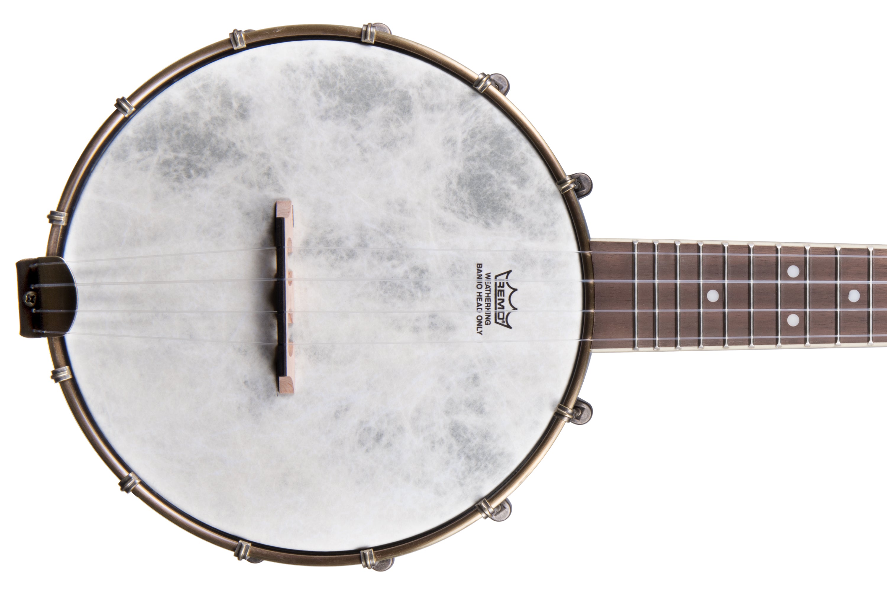 Kala BNJ-C 5-Ply Concert Banjolele
