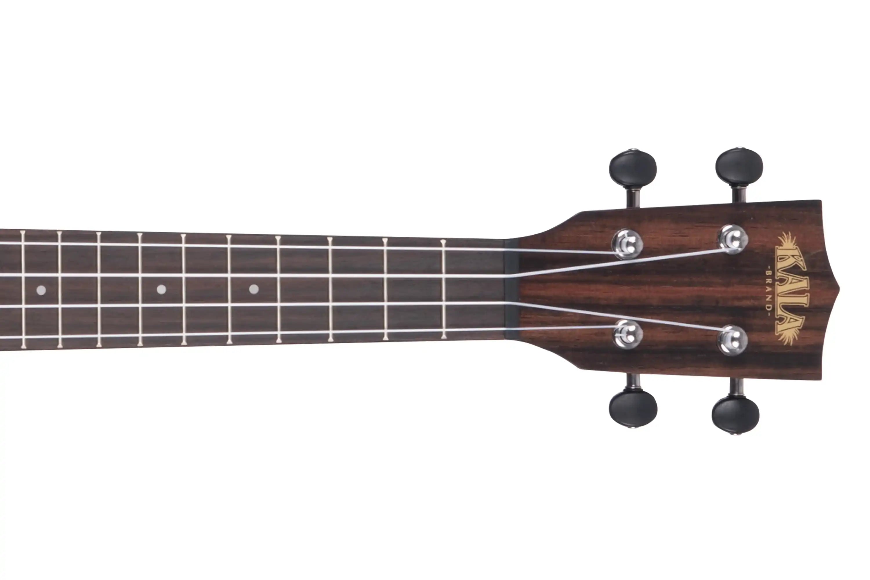 Kala-KA-EBY-C-Concert-Ukulele3 | Terry Carter Music Store