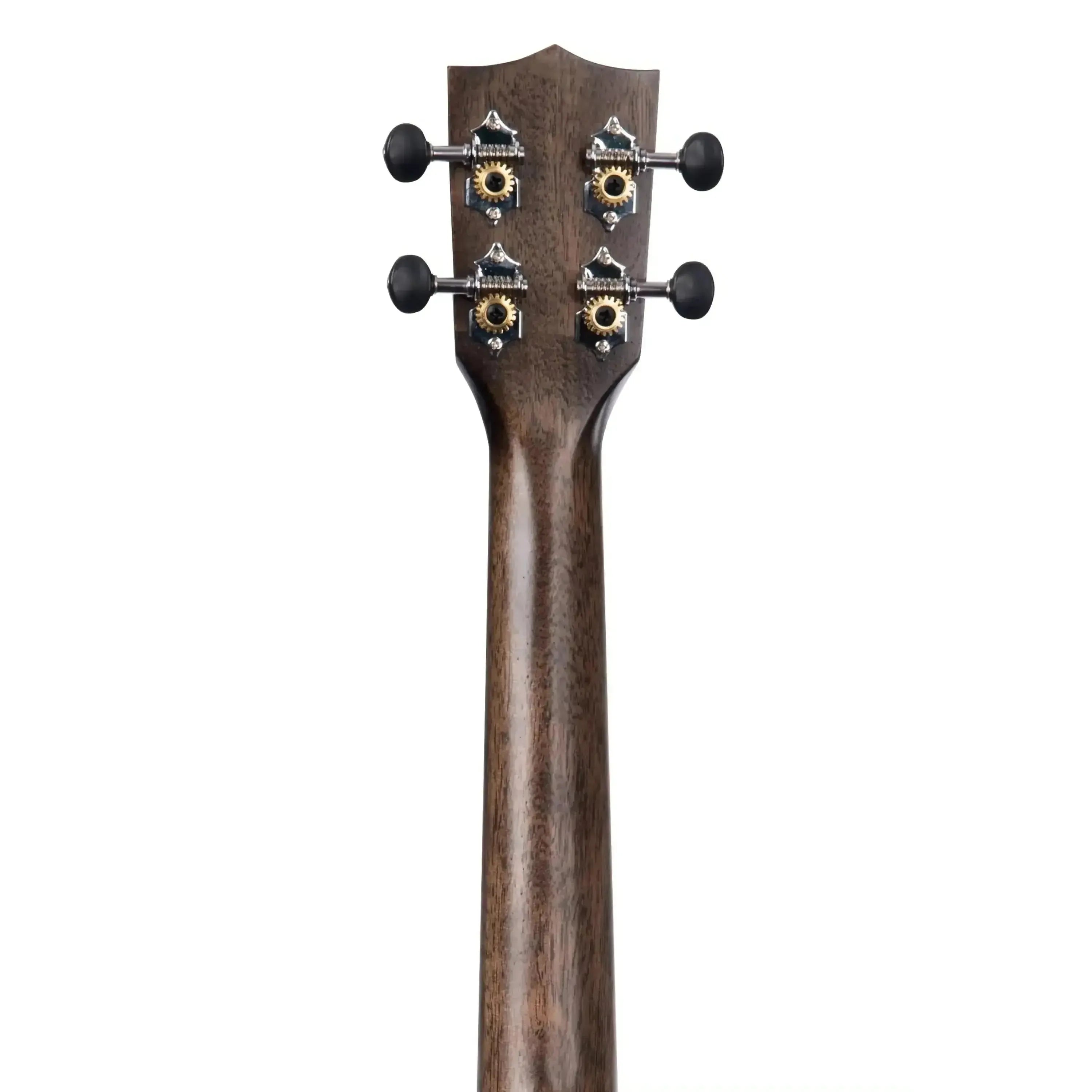 Kala-KA-EBY-TE-Tenor-Ukulele3 | Terry Carter Music Store