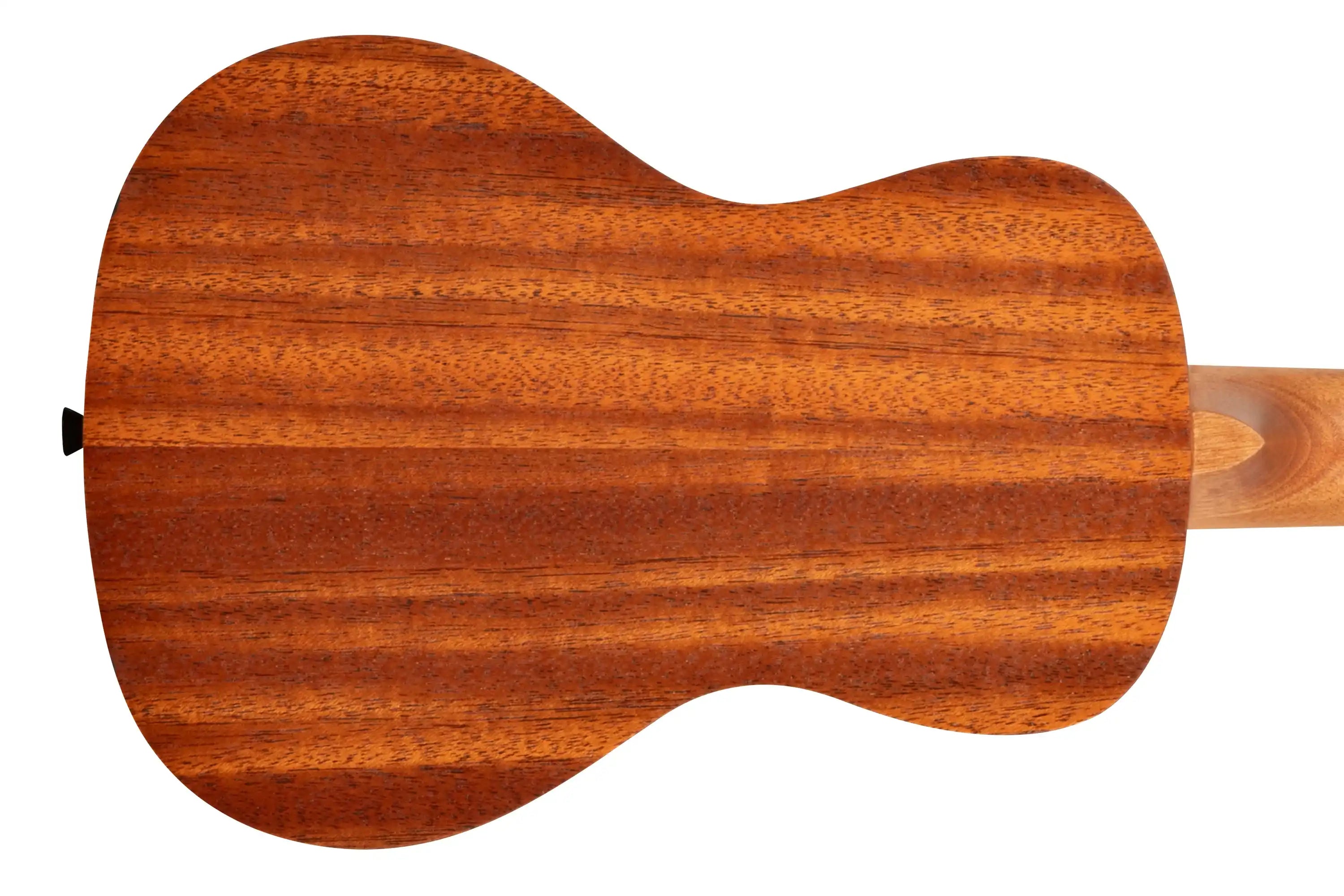 Kala-KA-HIBISCUS-C-Concert-Ukulele2 | Terry Carter Music Store