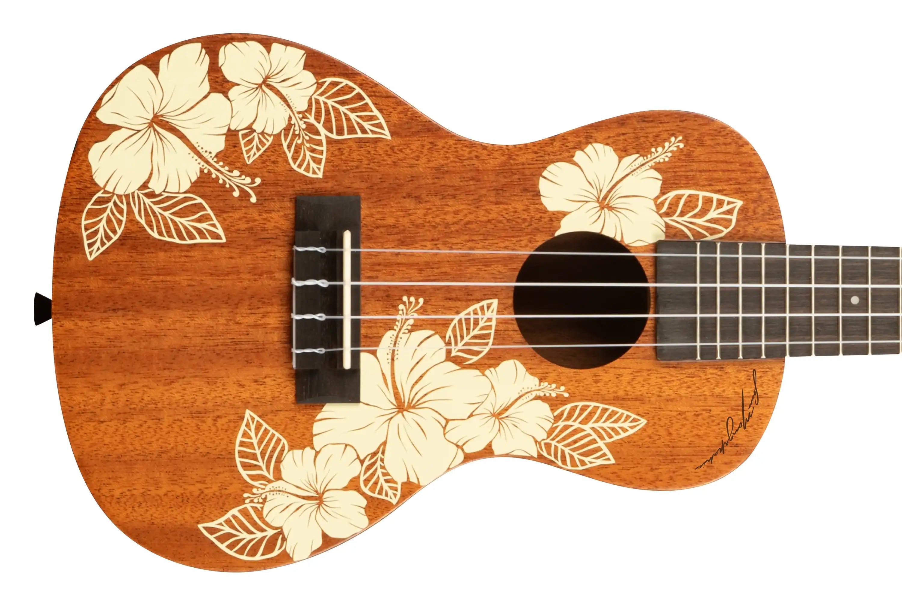 Kala-KA-HIBISCUS-C-Concert-Ukulele5 | Terry Carter Music Store
