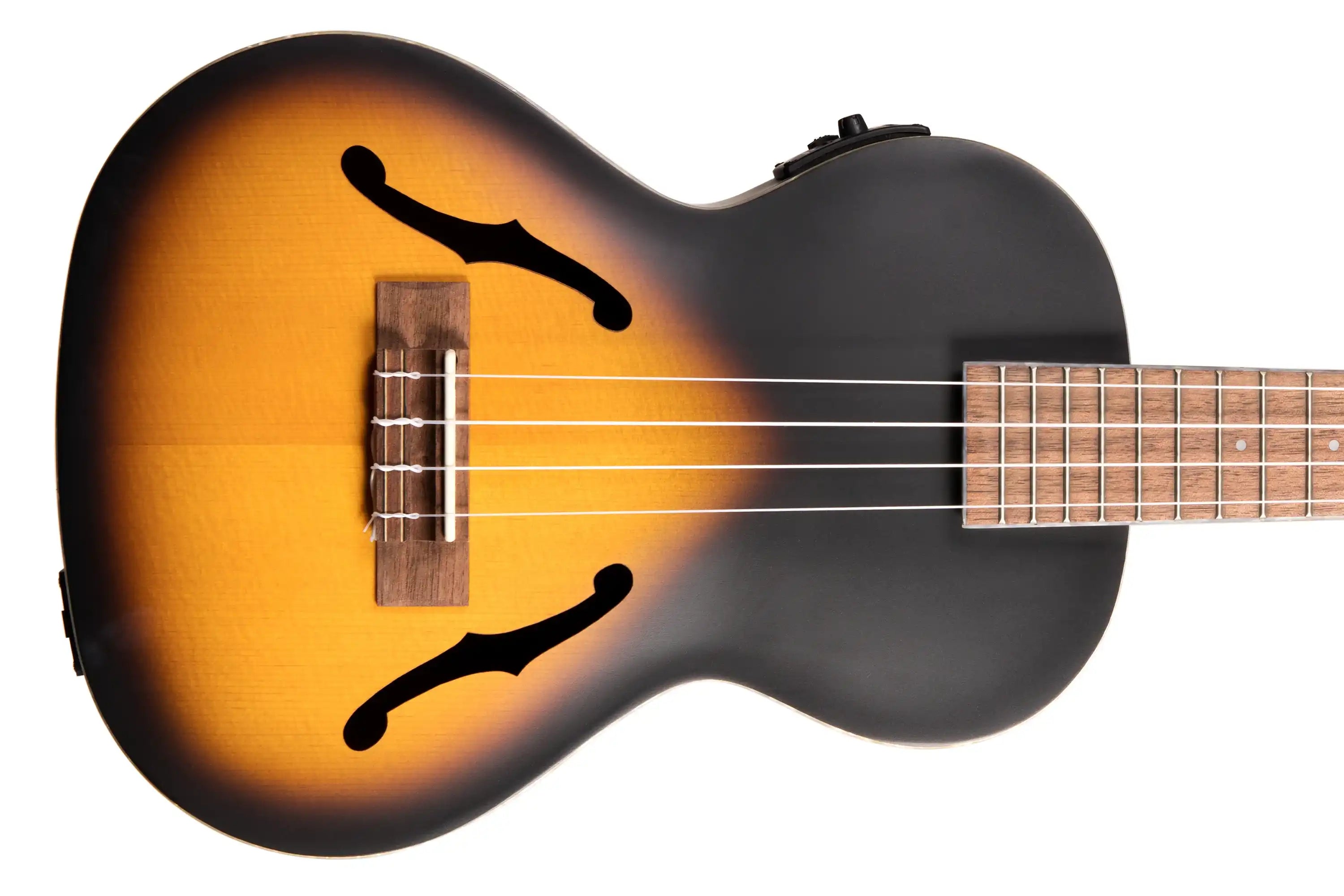 Kala-KA-JTE-2TS-Tenor-Ukulele2 | Terry Carter Music Store