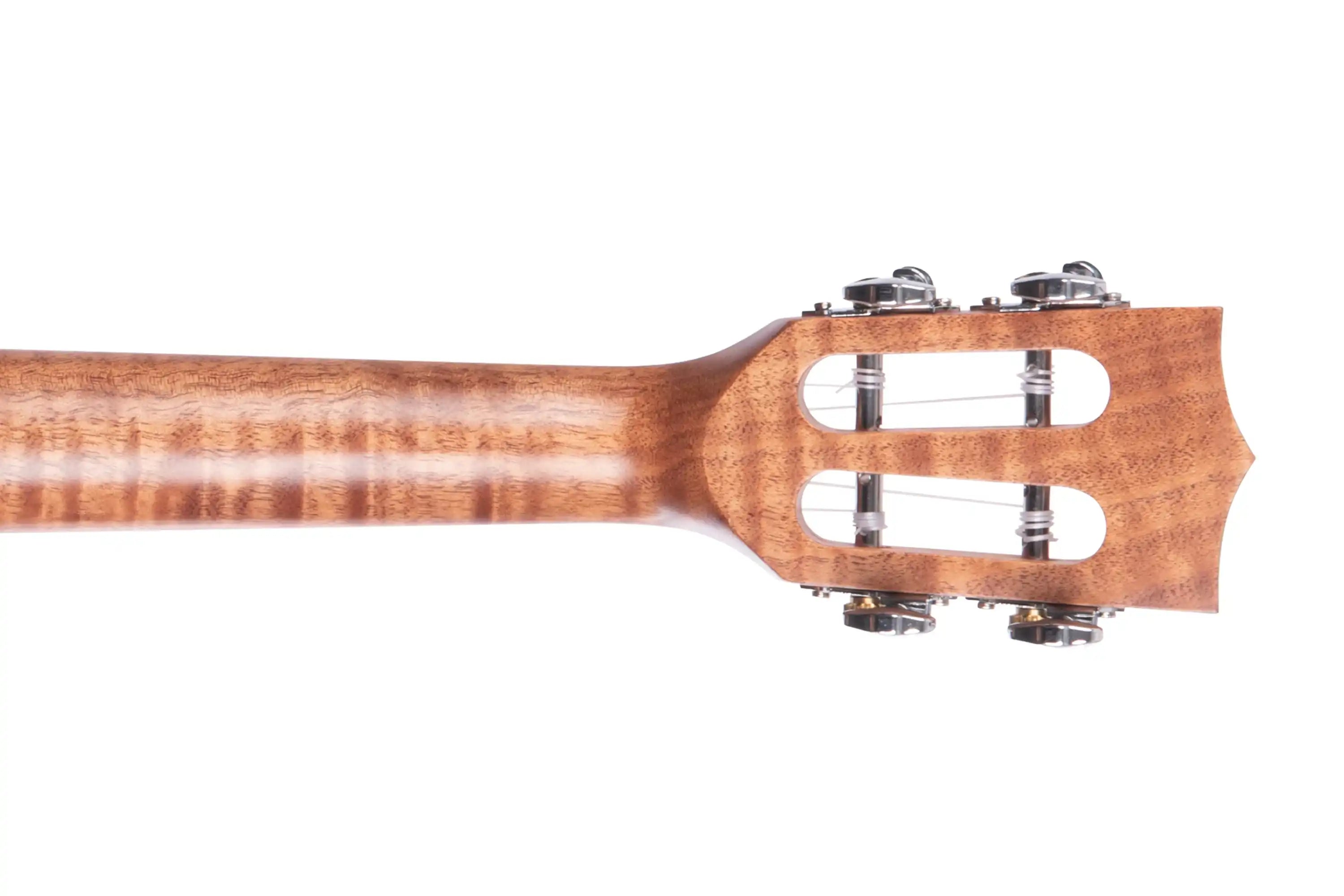Kala-KA-SA-T-Tenor-Ukulele-2 | Terry Carter Music Store