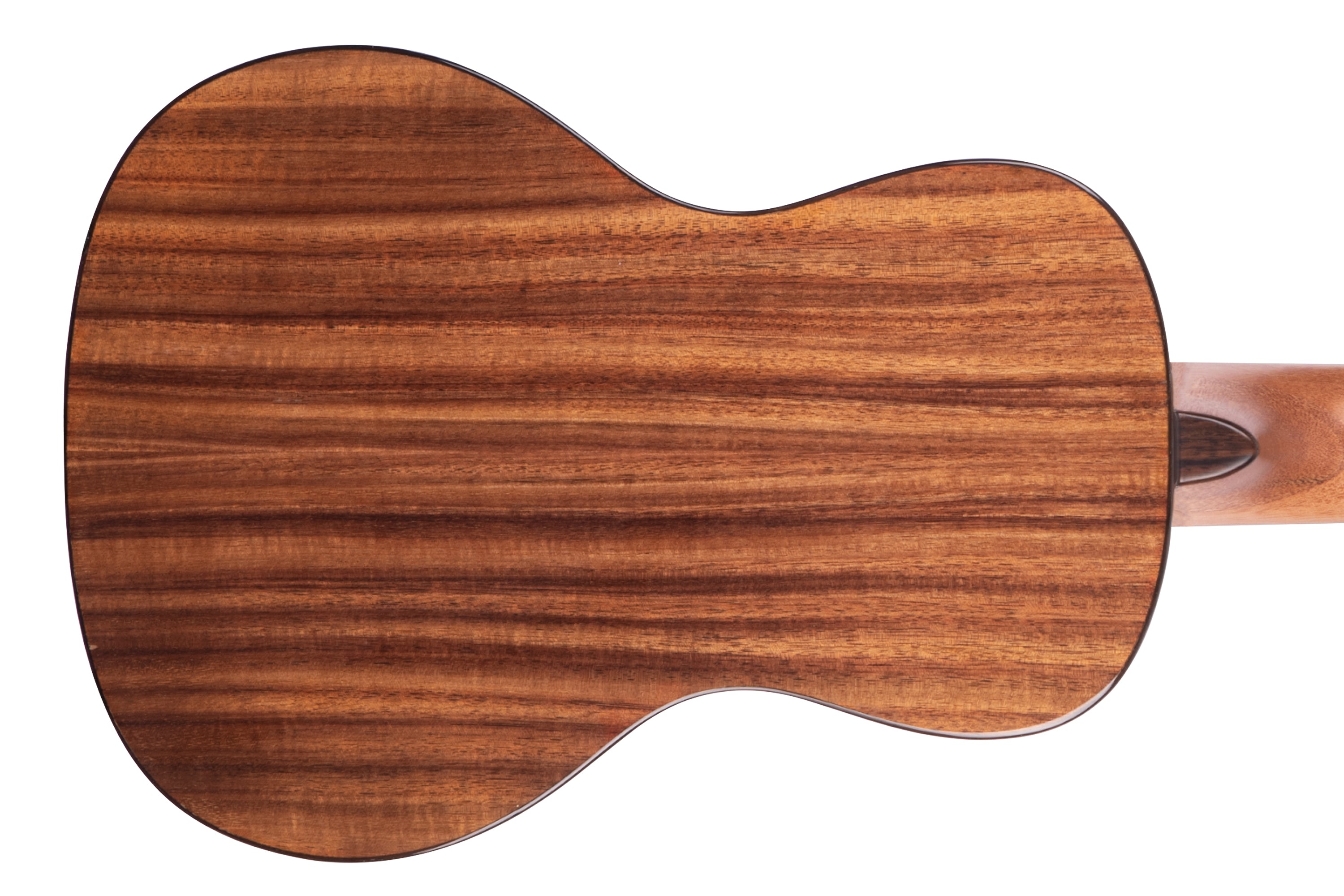 Kala-KA-SCAC-C-Concert-Ukulele2 | Terry Carter Music Store