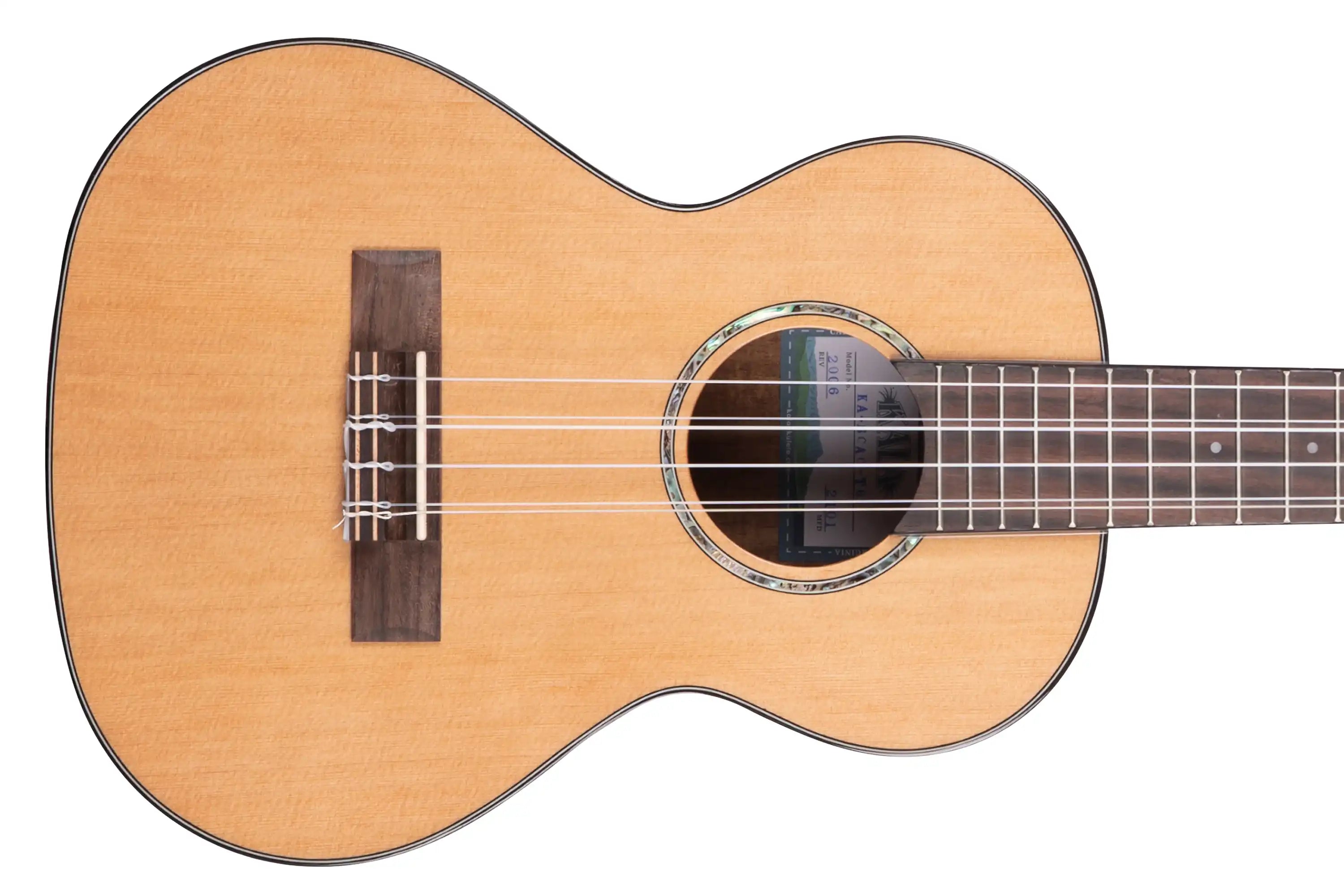 Kala-KA-SCAC-T6-Tenor-2 | Terry Carter Music Store