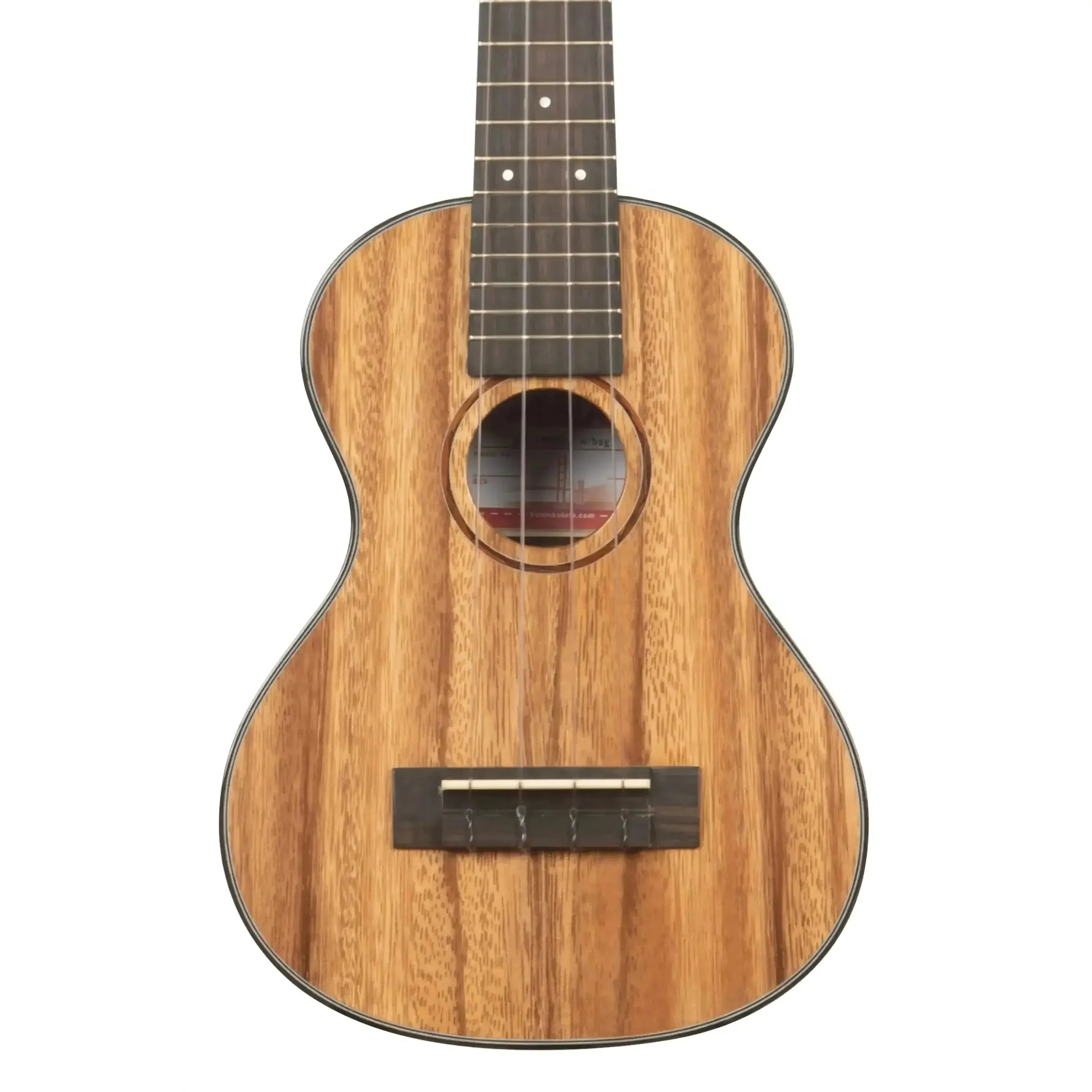Kala-TRBG-S-Metropolitan-Soprano-Ukulele2 | Terry Carter Music Store