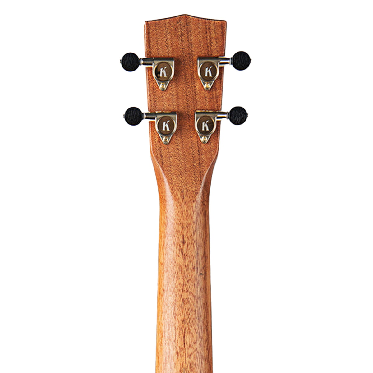 back of the headstock