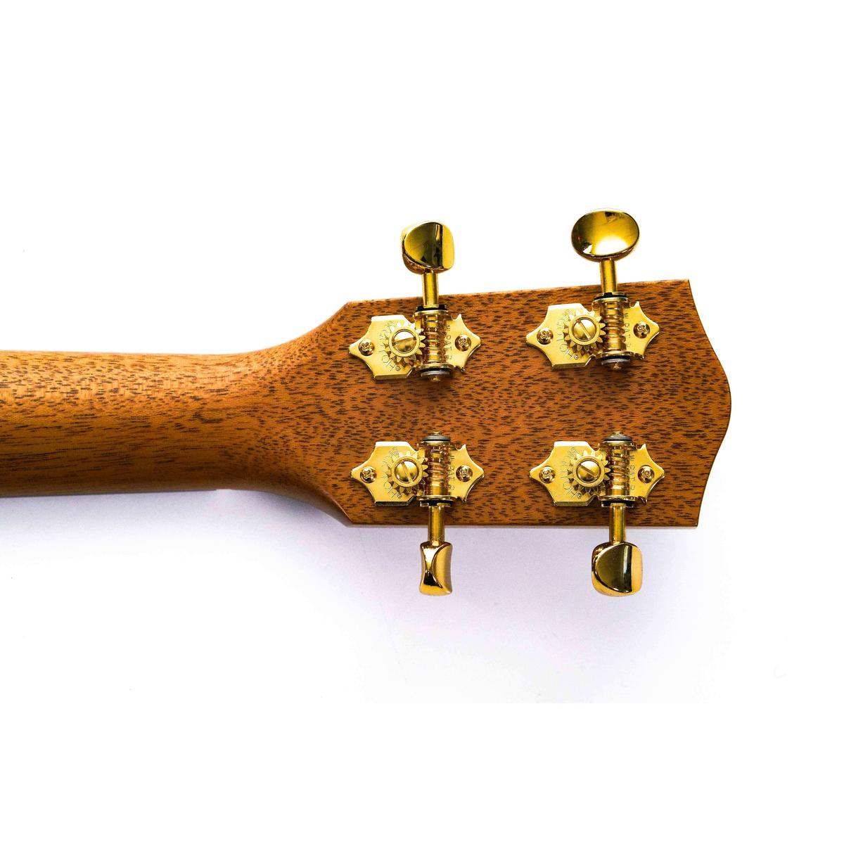 Ko_olau-T-100-Tenor-Ukulele-Alika-7 | Terry Carter Music Store
