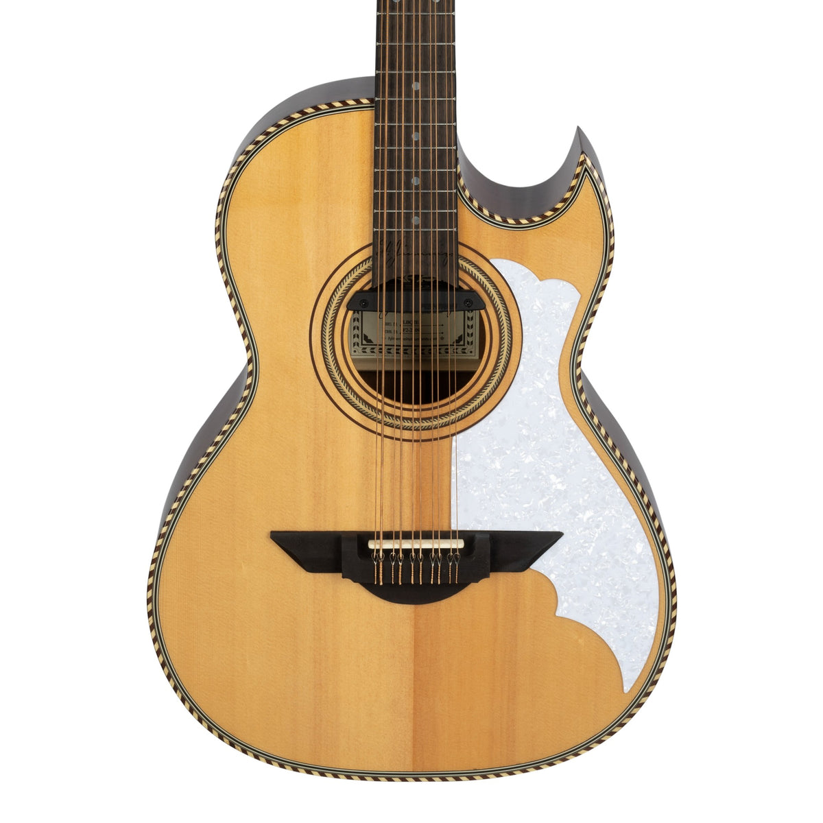 H. Jimenez LBQ2E El Músico Cutaway Acoustic Electric Bajo Quinto, front of the body with the lower fretboard