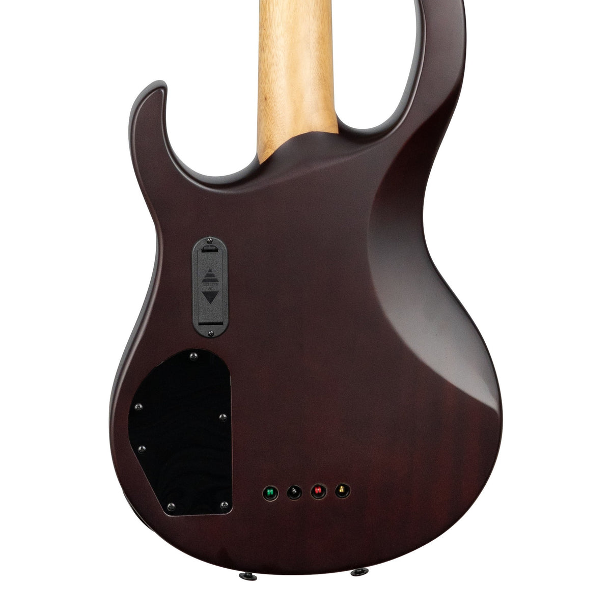 H. Jimenez LBS4-SB Camaleón 4-String Electric Bass Guitar - Spalt Burst, back of the body showing the back and sides