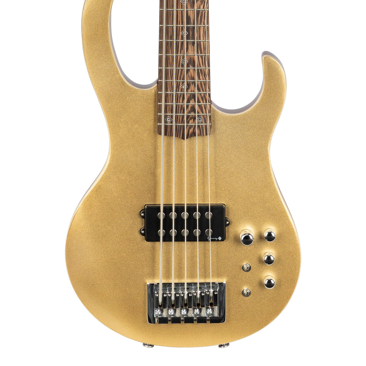H. Jimenez LBS5-GT Camaleón 5-String Electric Bass Guitar - Gold Top, front of the body with the lower fretboard