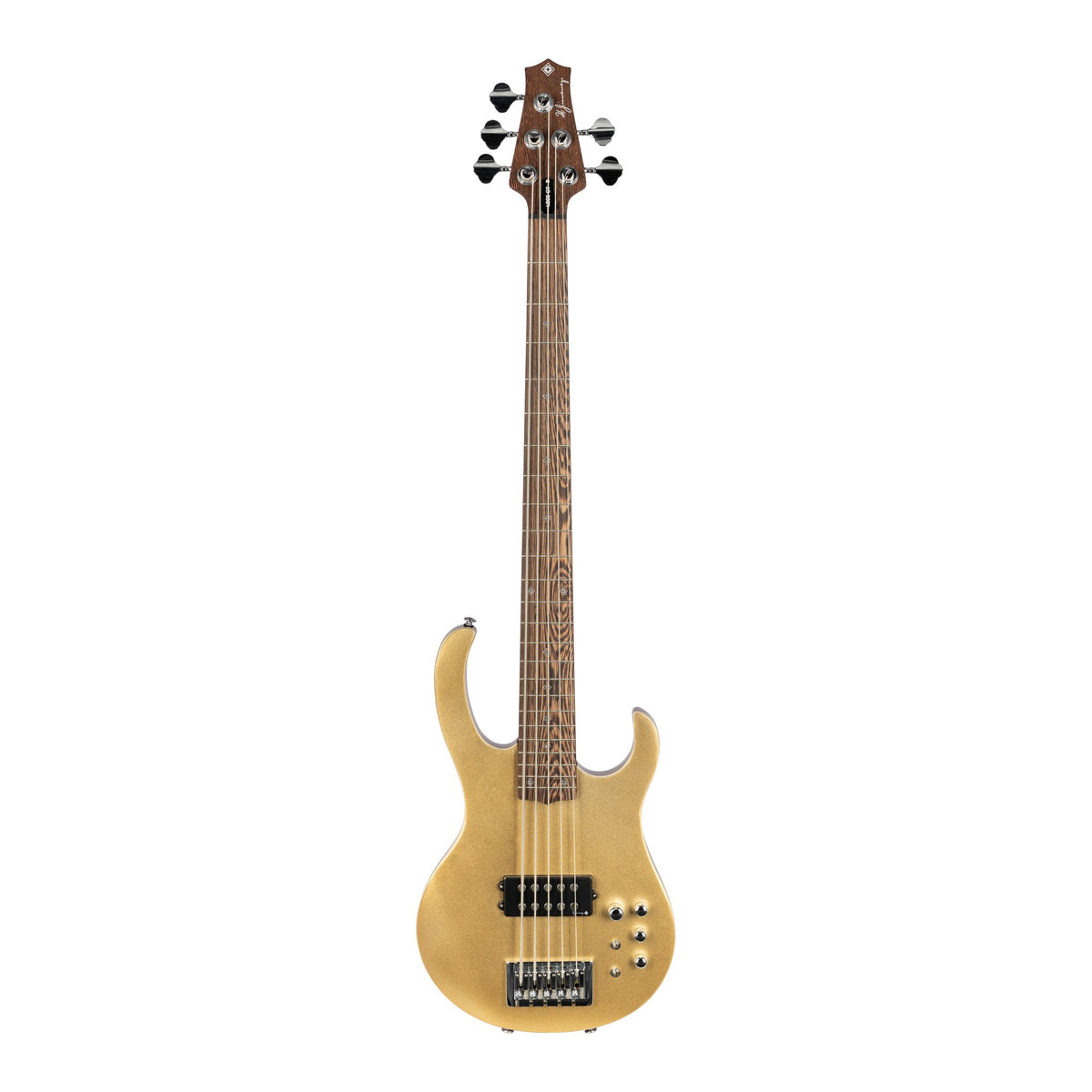 H. Jimenez LBS5-GT Camaleón 5-String Electric Bass Guitar - Gold Top, full front view from headstock to end