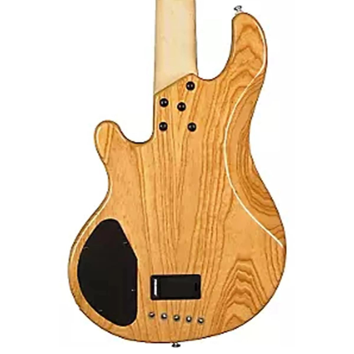 Lakland-55-01-Electric-Bass3_1f3fe654-6744-4dc7-8366-681b6dbc94fb | Terry Carter Music Store