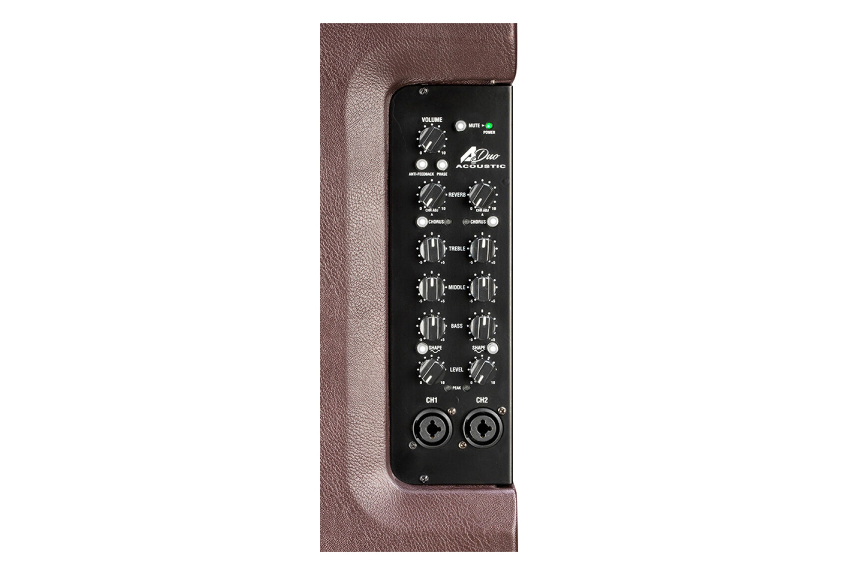 Laney A-Duo Guitar Amplifier